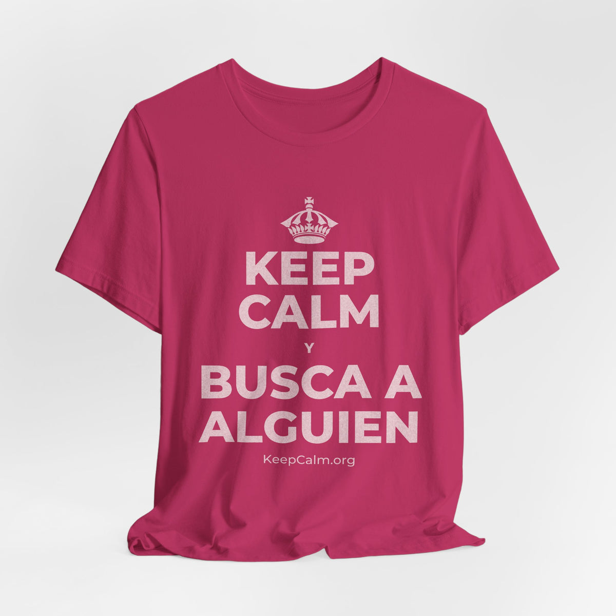 KEEP CALM Y BUSCA A ALGUIEN T-Shirt (Baby Blue–Silver)