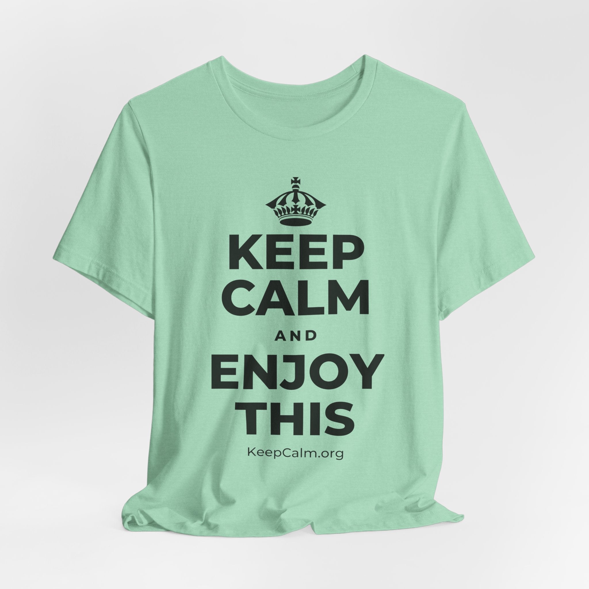 KEEP CALM AND ENJOY THIS T-Shirt (Baby Blue–Silver)