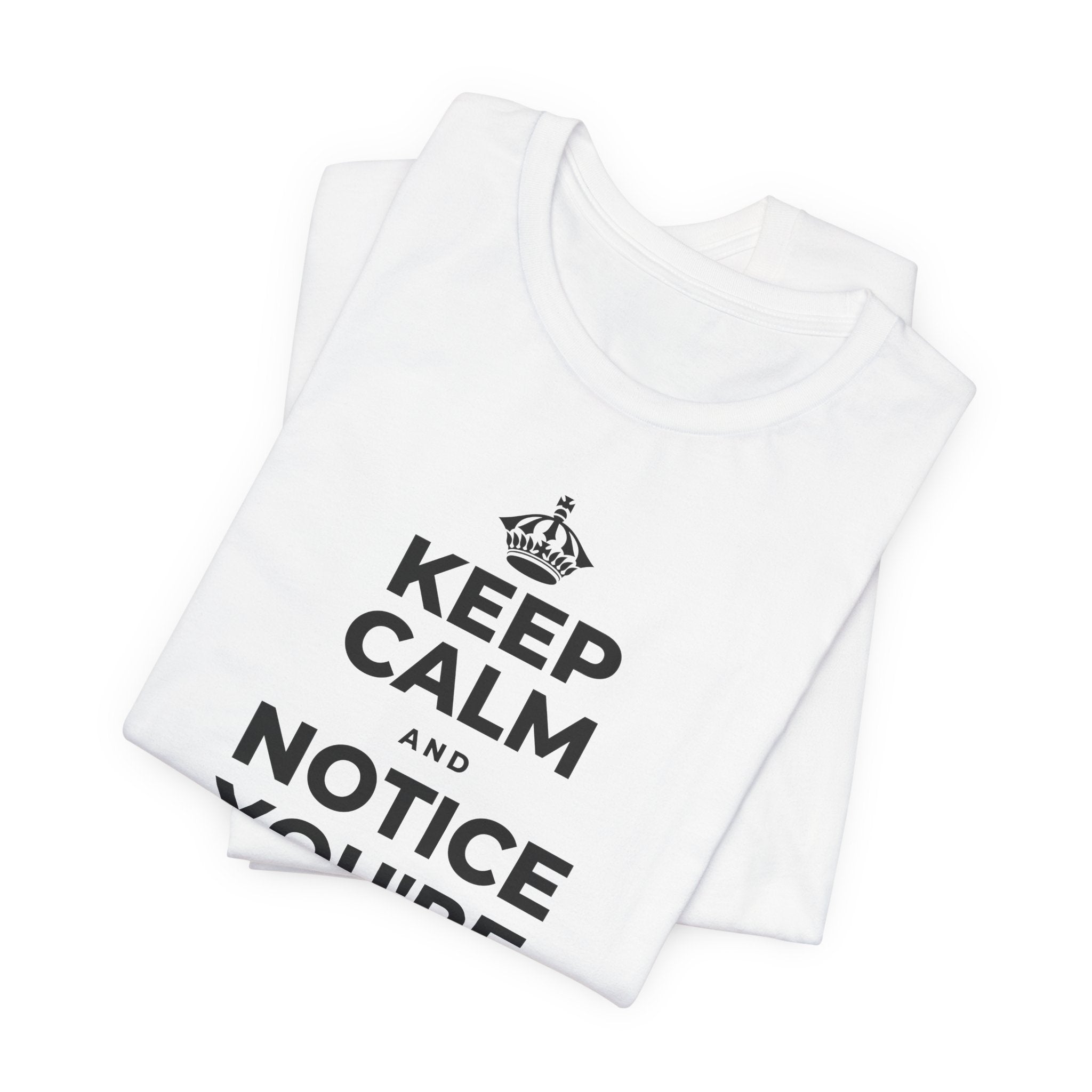 KEEP CALM AND NOTICE YOU'RE SAFE RIGHT NOW T-Shirt (White–Asphalt)