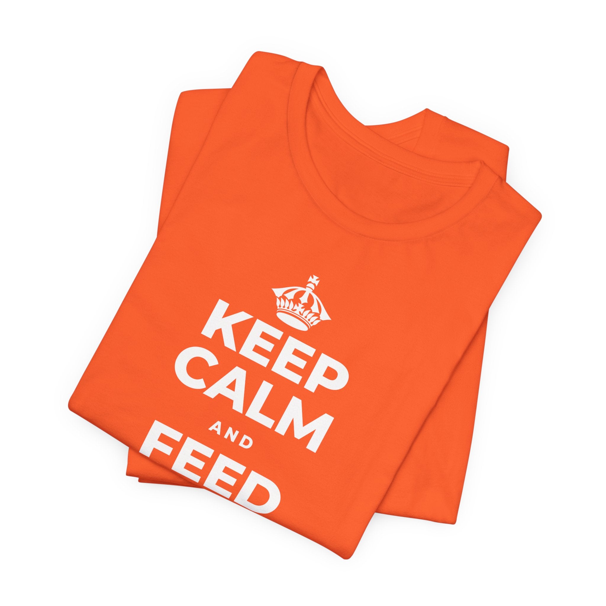 KEEP CALM AND FEED YOUR SOUL TOO T-Shirt (Baby Blue–Silver)