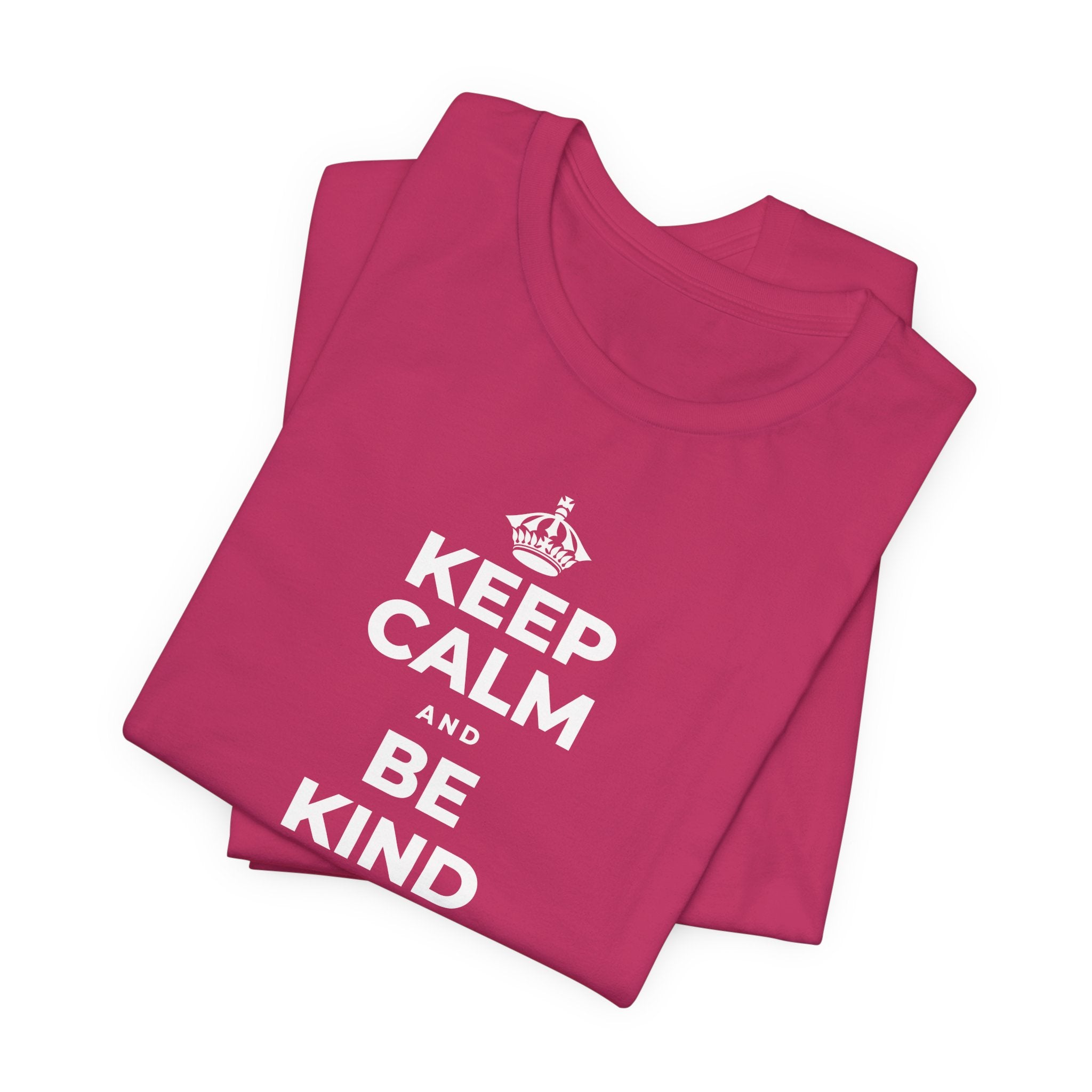 KEEP CALM AND BE KIND TO THE NEW KID T-Shirt (Baby Blue–Silver)