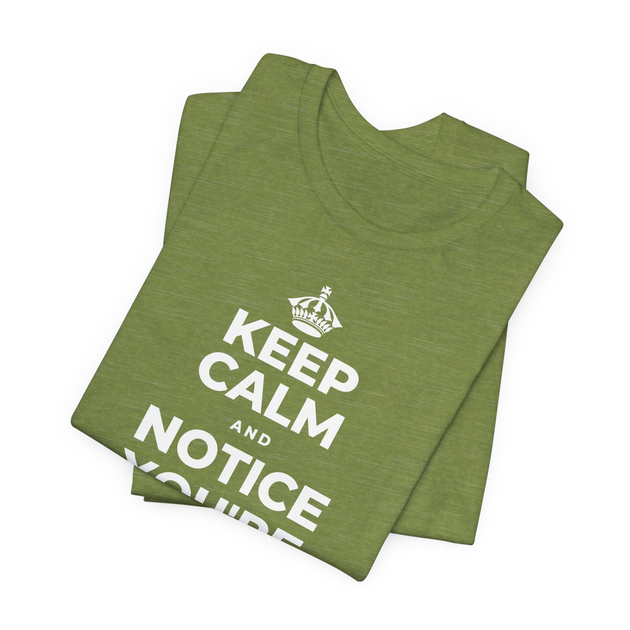 KEEP CALM AND NOTICE YOU'RE SAFE RIGHT NOW T-Shirt (Baby Blue–Silver)