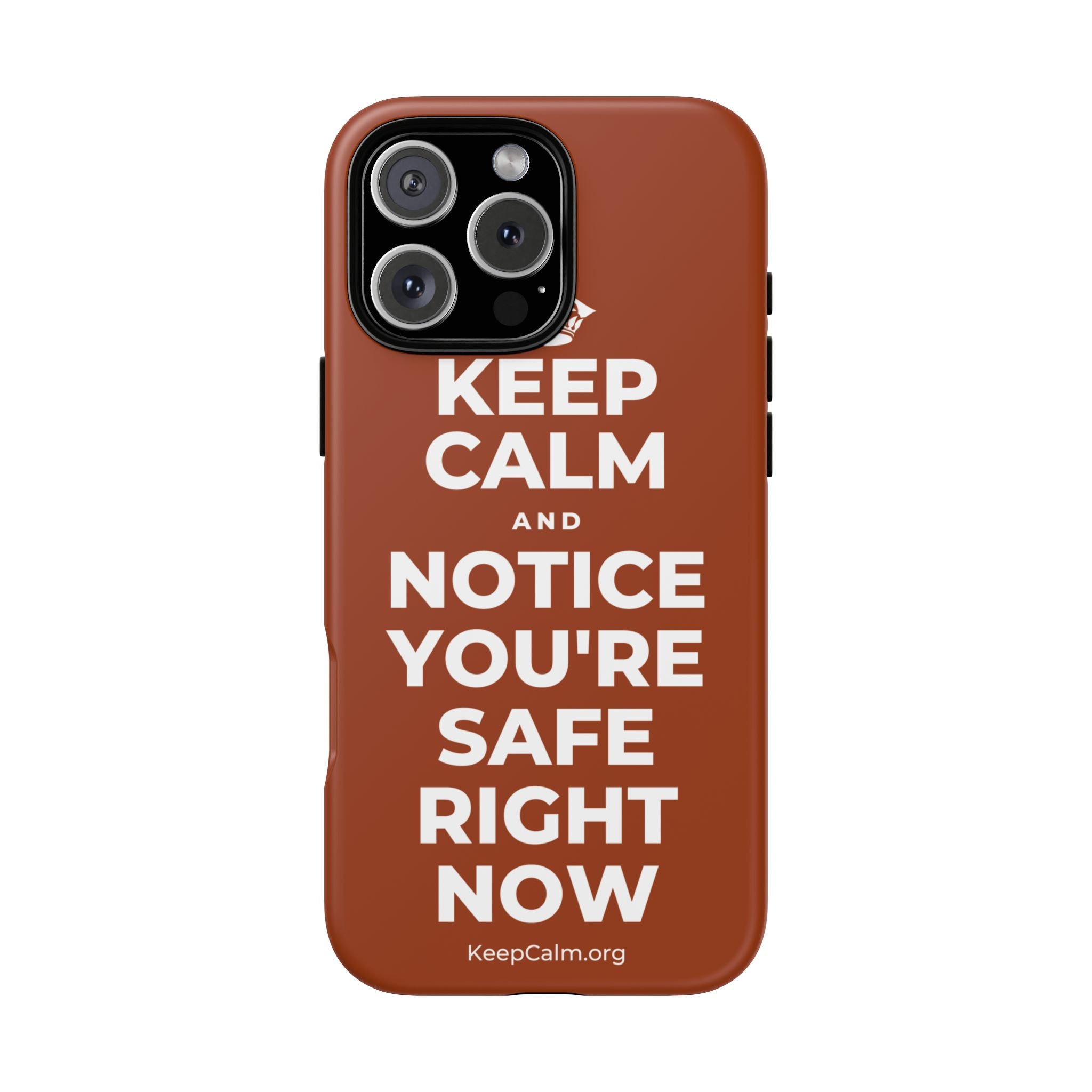 KEEP CALM AND NOTICE YOU'RE SAFE RIGHT NOW Phone Case