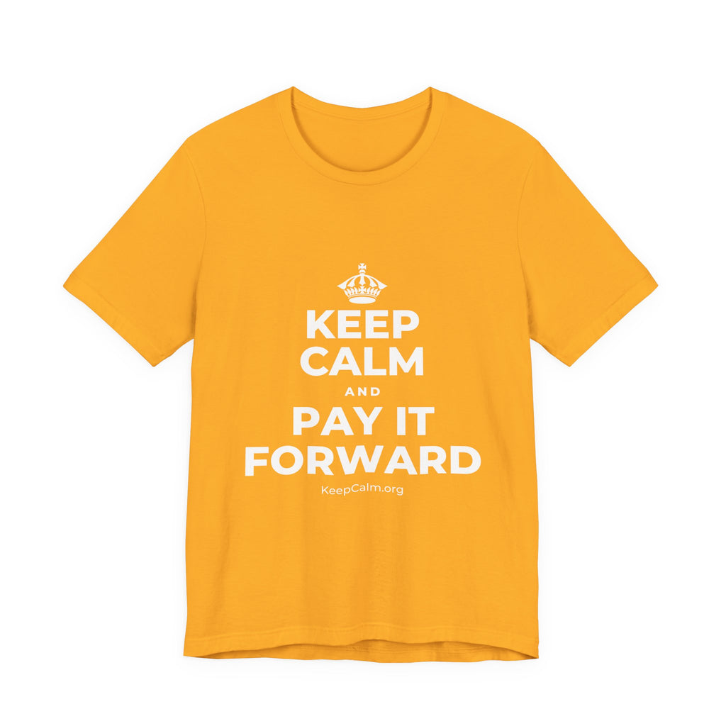 KEEP CALM AND PAY IT FORWARD T-Shirt (Baby Blue–Silver)