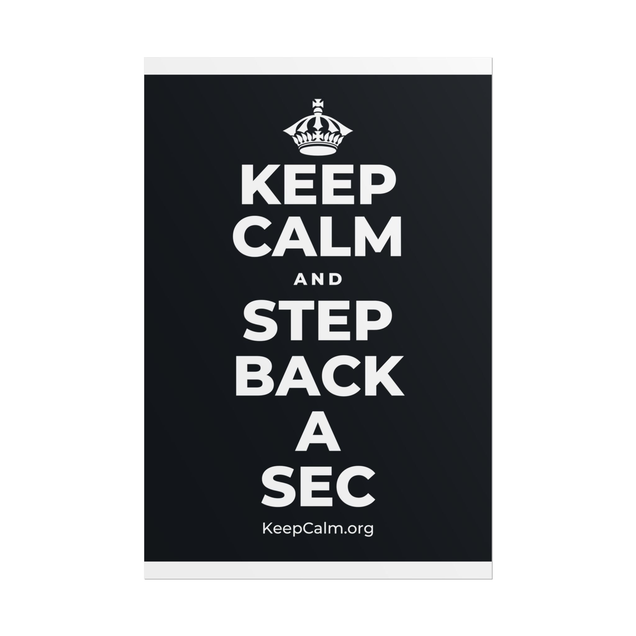 KEEP CALM AND STEP BACK A SEC Poster (Dark)