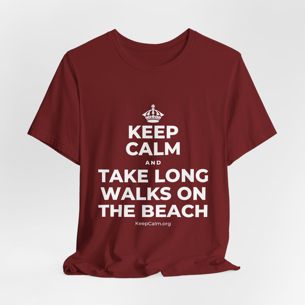 KEEP CALM AND TAKE LONG WALKS ON THE BEACH T-Shirt (Baby Blue–Silver)