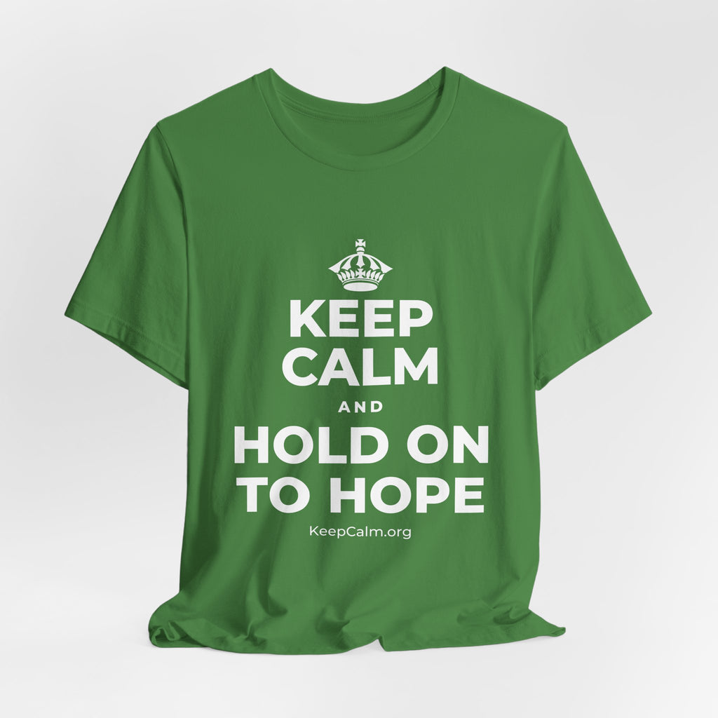 KEEP CALM AND HOLD ON TO HOPE T-Shirt (Baby Blue–Silver)