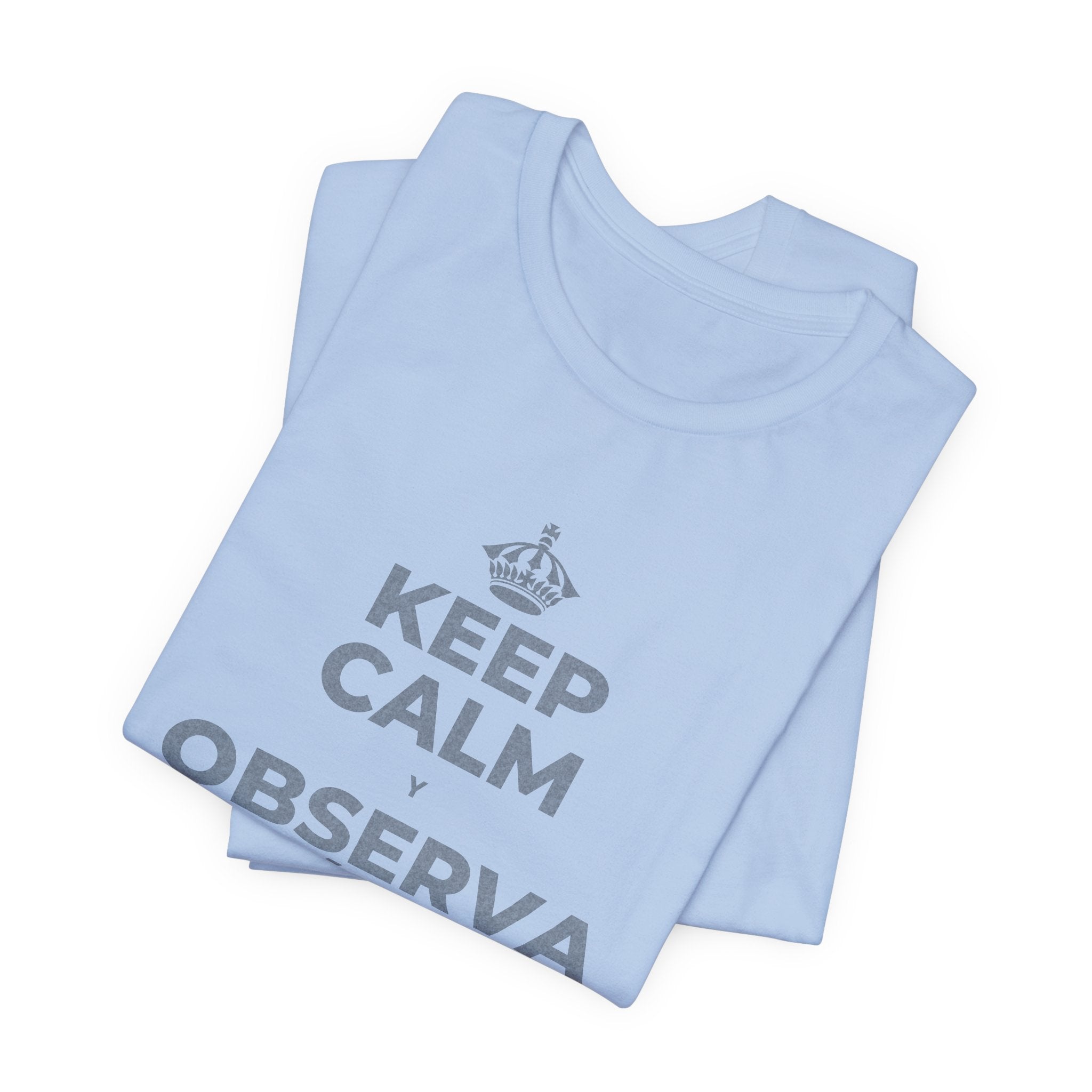 KEEP CALM Y OBSERVA CÓMO TODO FLORECE T-Shirt (Baby Blue–Silver)
