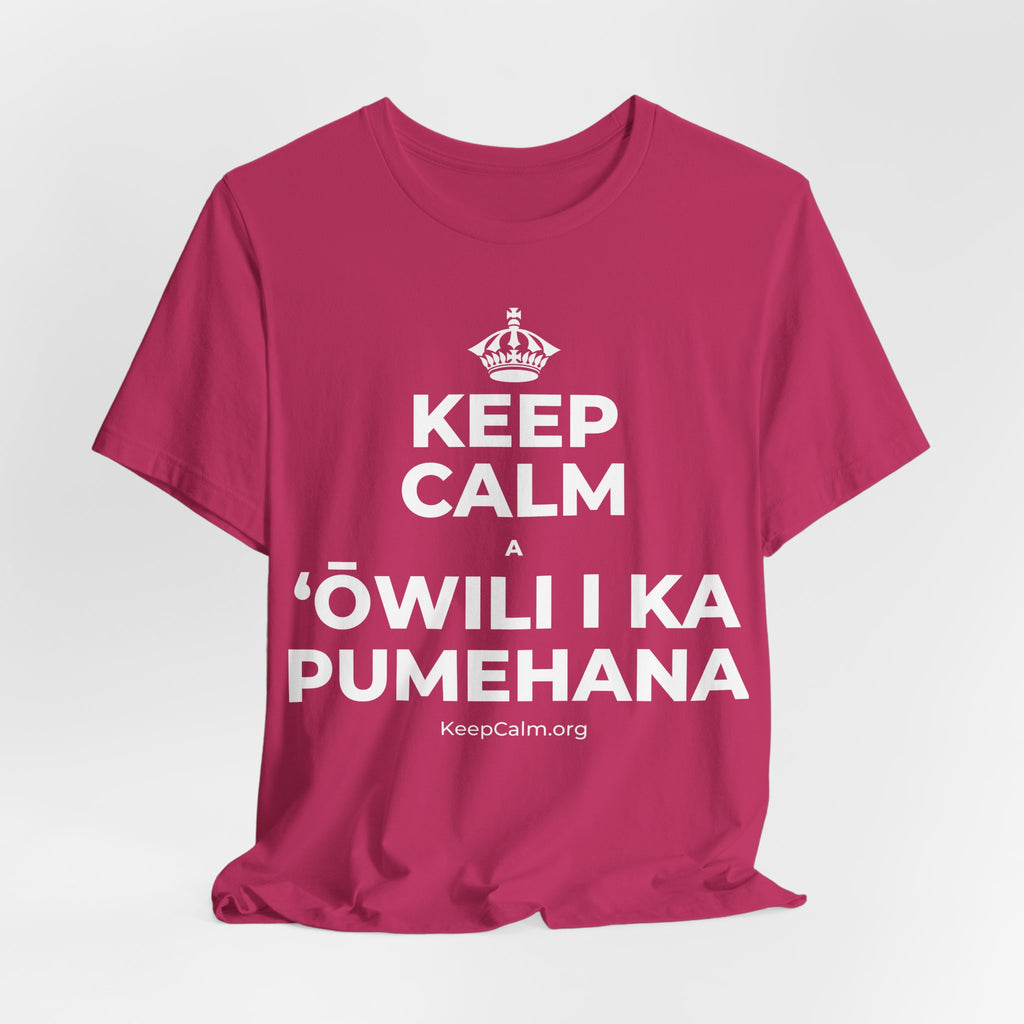 KEEP CALM A ʻŌWILI I KA PUMEHANA T-Shirt (Baby Blue–Silver)