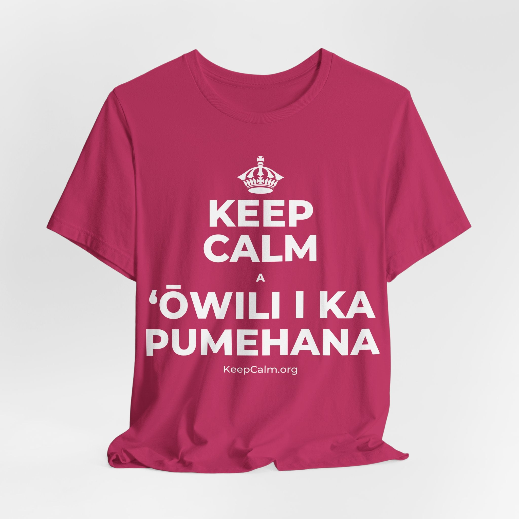 KEEP CALM A ʻŌWILI I KA PUMEHANA T-Shirt (Baby Blue–Silver)