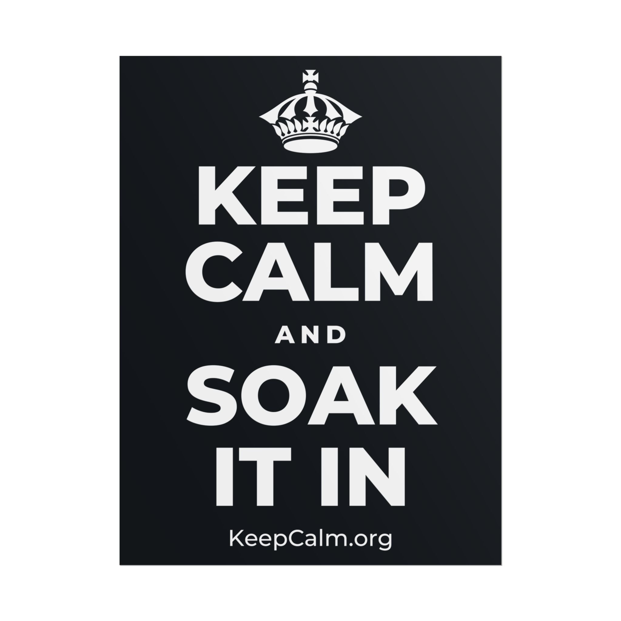 KEEP CALM AND SOAK IT IN Poster (Dark)