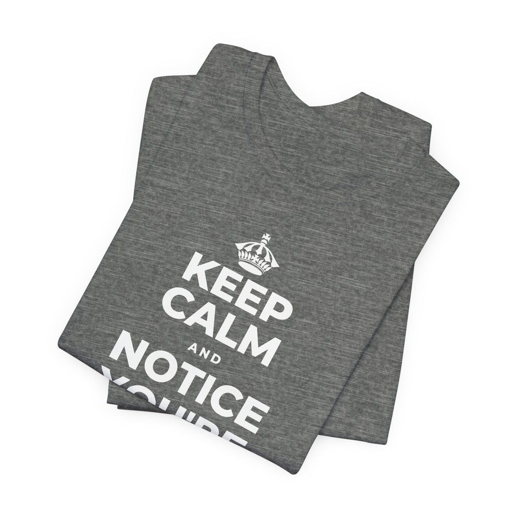 KEEP CALM AND NOTICE YOU'RE SAFE RIGHT NOW T-Shirt (Baby Blue–Silver)