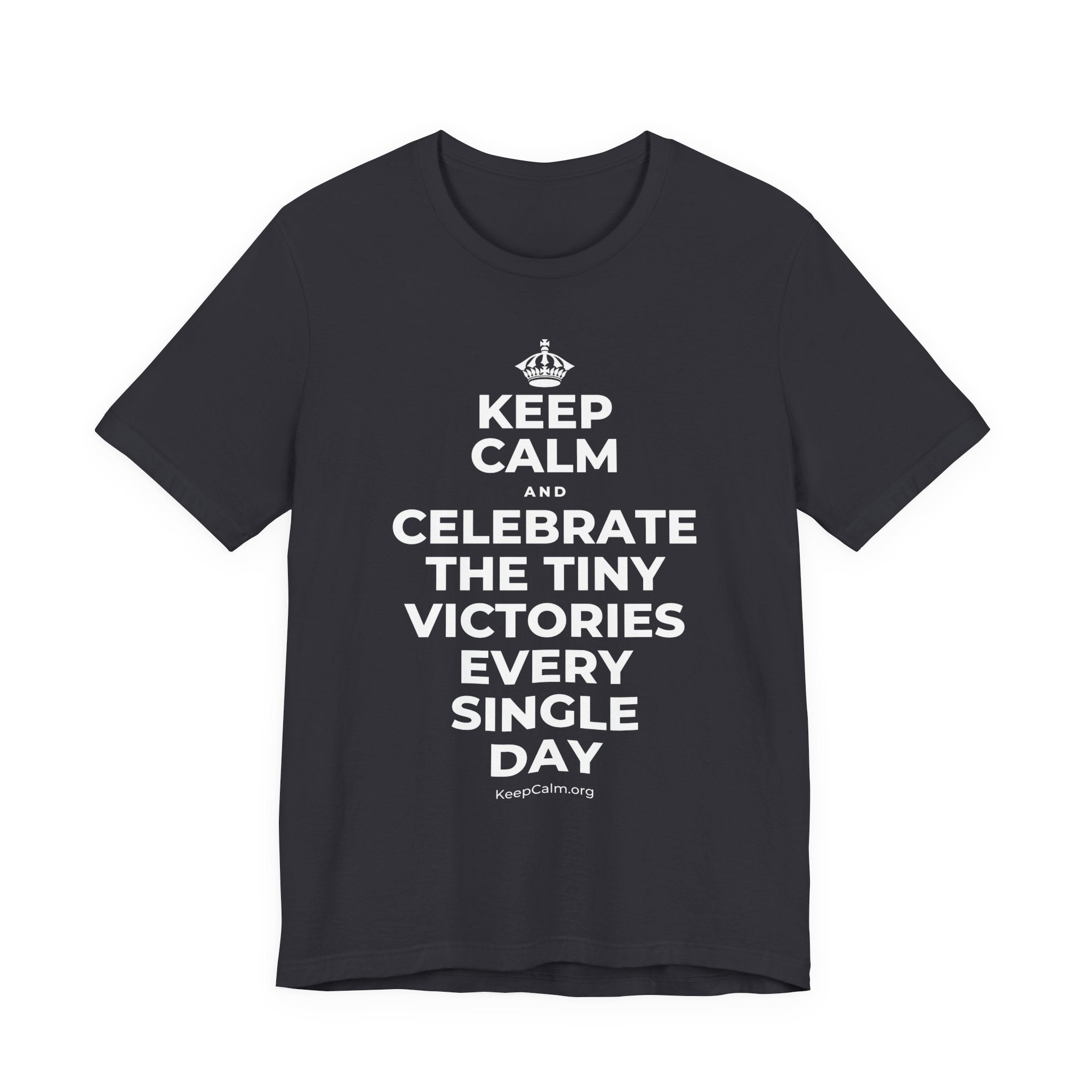 KEEP CALM AND CELEBRATE THE TINY VICTORIES EVERY SINGLE DAY T-Shirt (Baby Blue–Silver)