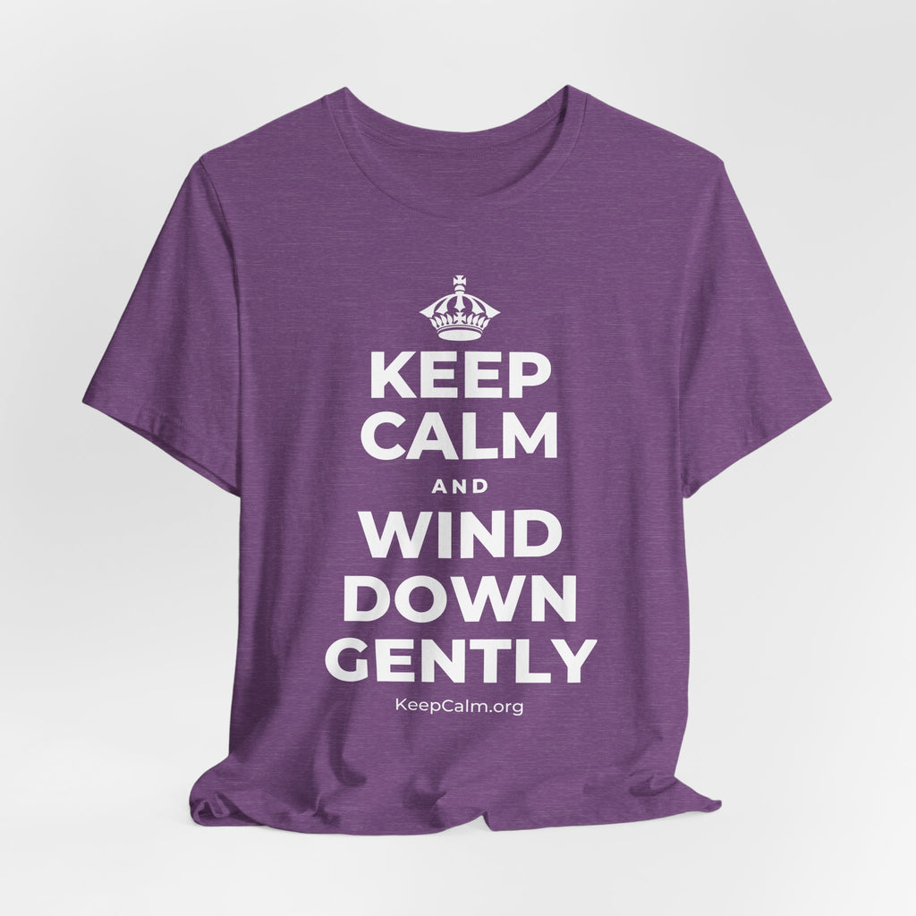 KEEP CALM AND WIND DOWN GENTLY T-Shirt (Baby Blue–Silver)