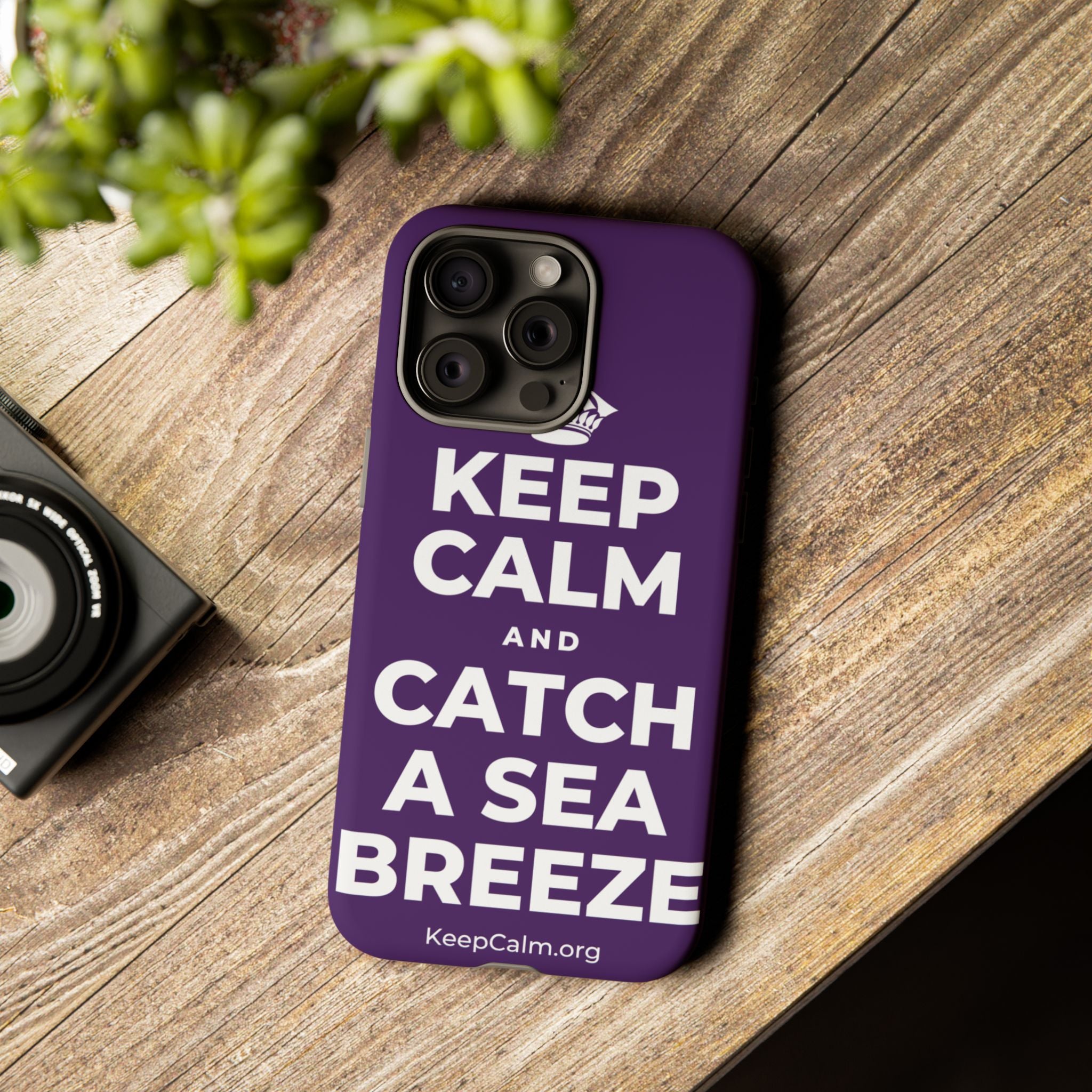 KEEP CALM AND CATCH A SEA BREEZE Phone Case