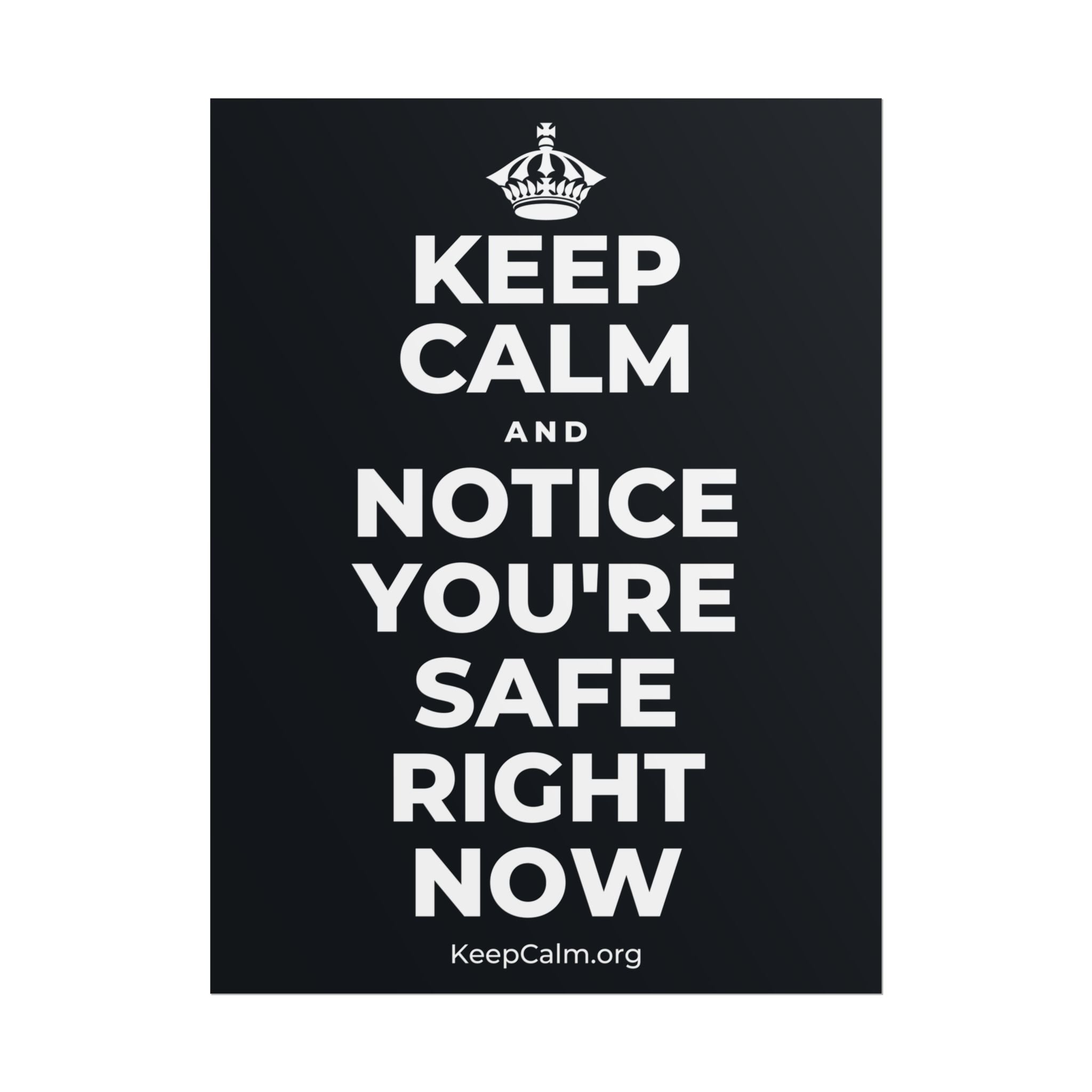 KEEP CALM AND NOTICE YOU'RE SAFE RIGHT NOW Poster (Dark)