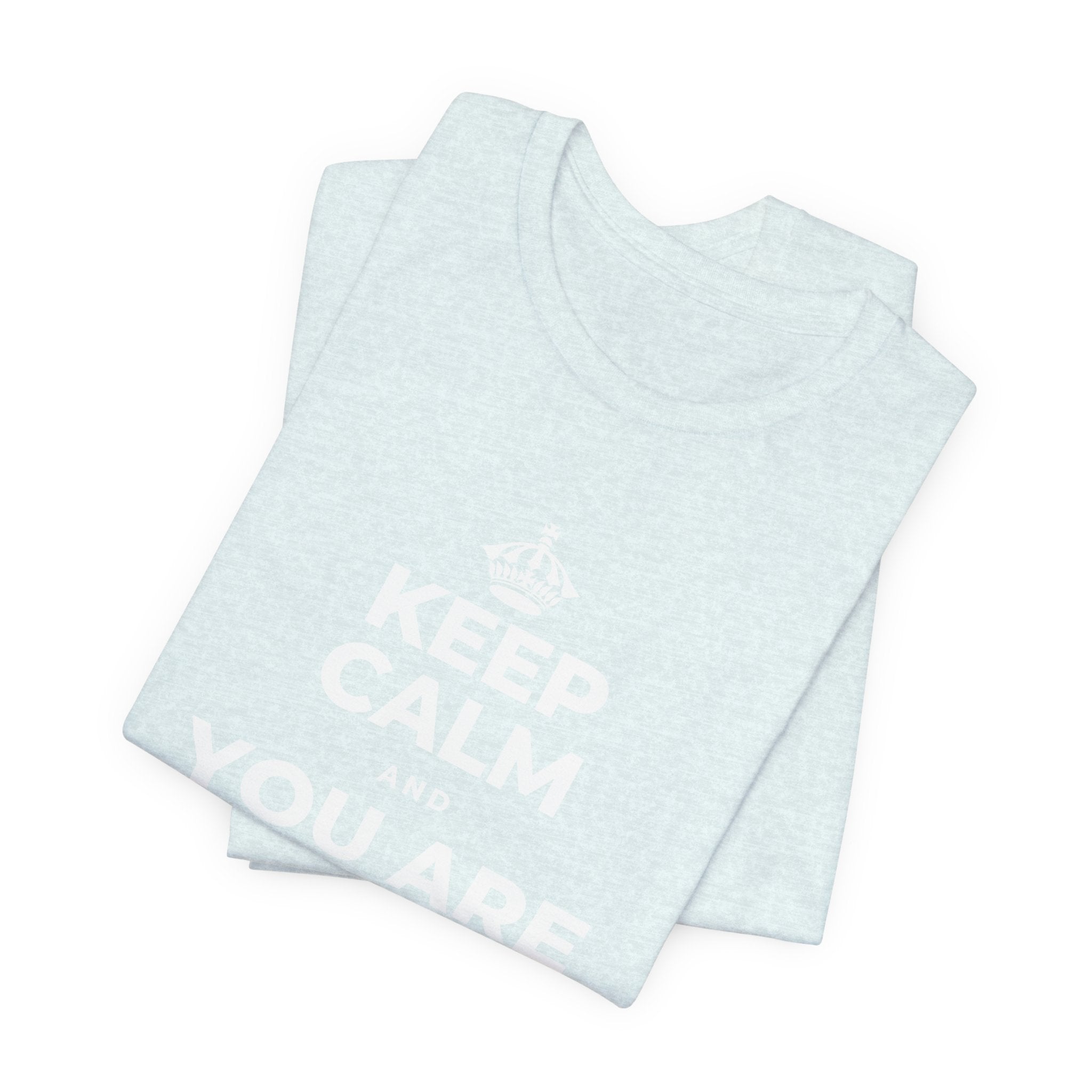 KEEP CALM AND YOU ARE DOING GREAT TODAY T-Shirt (Soft Cream–Heather Mauve)