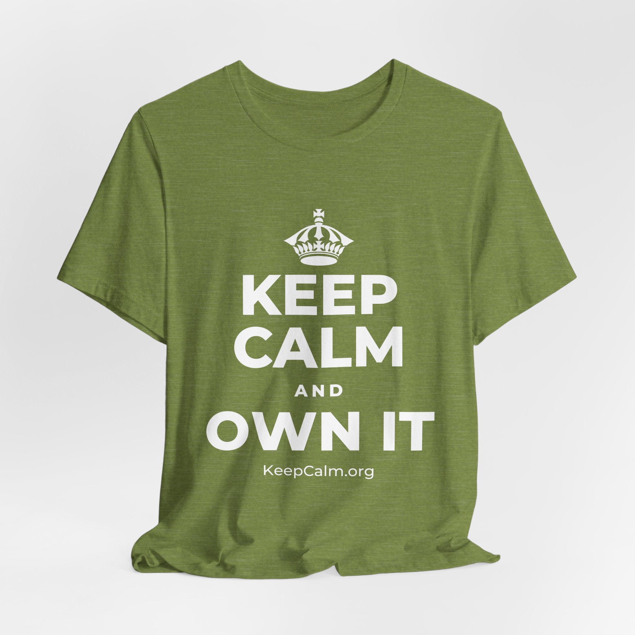 KEEP CALM AND OWN IT T-Shirt (Baby Blue–Silver)
