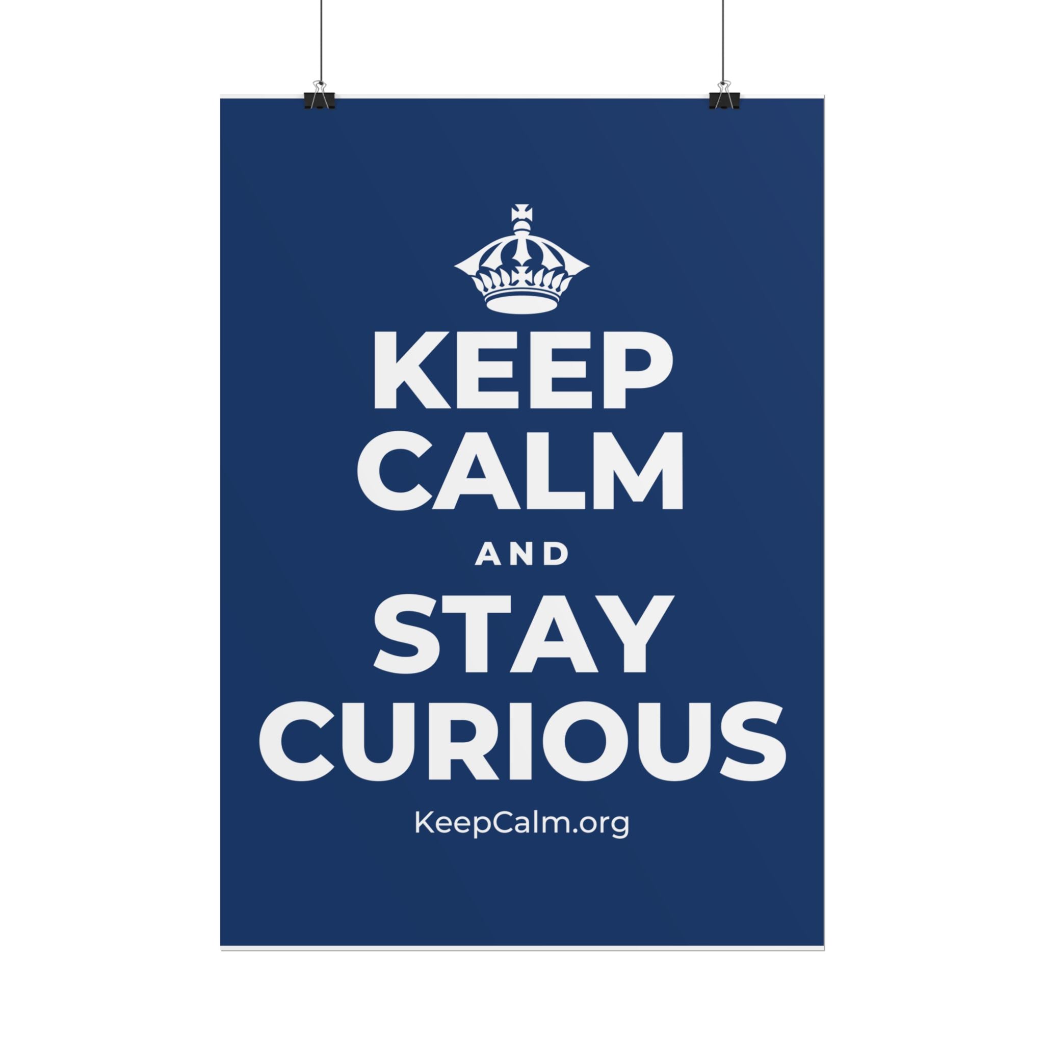 KEEP CALM AND STAY CURIOUS Poster