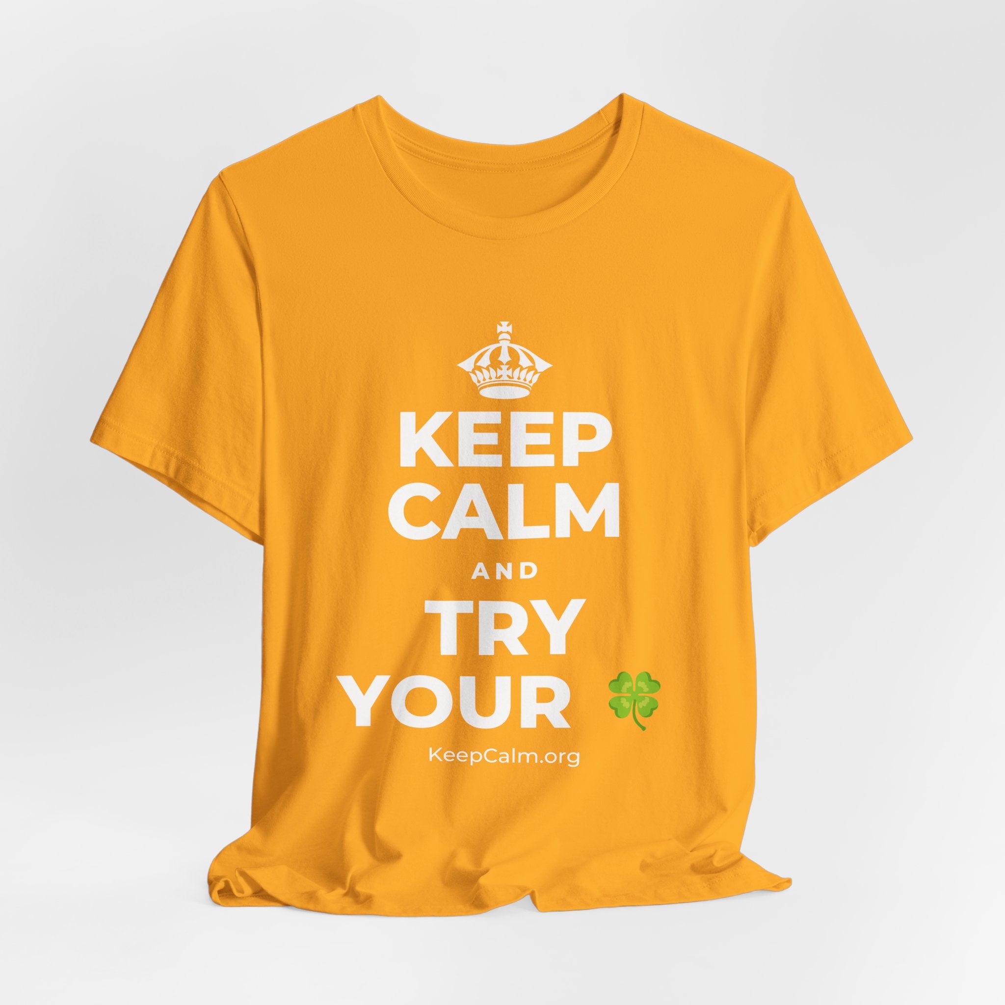 KEEP CALM AND TRY YOUR 🍀 T-Shirt (Baby Blue–Silver)