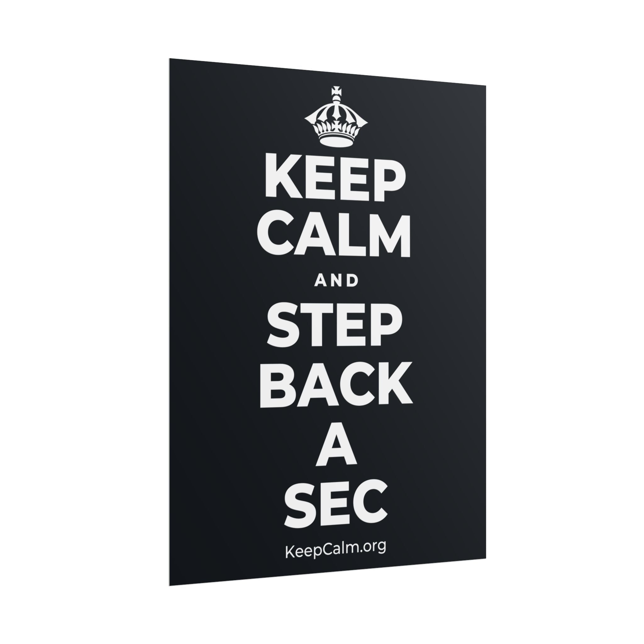 KEEP CALM AND STEP BACK A SEC Poster (Dark)