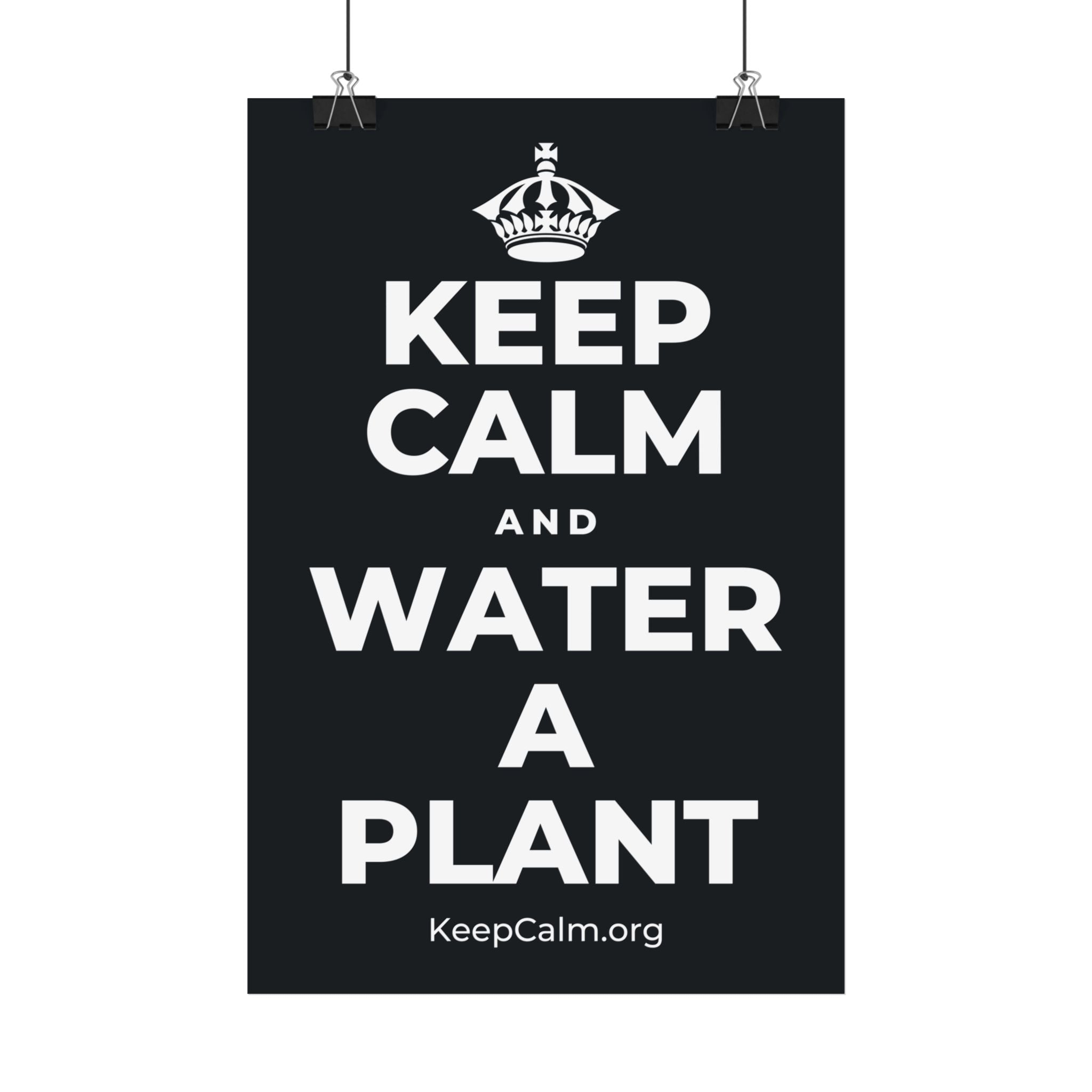 KEEP CALM AND WATER A PLANT Satin Poster (Dark)