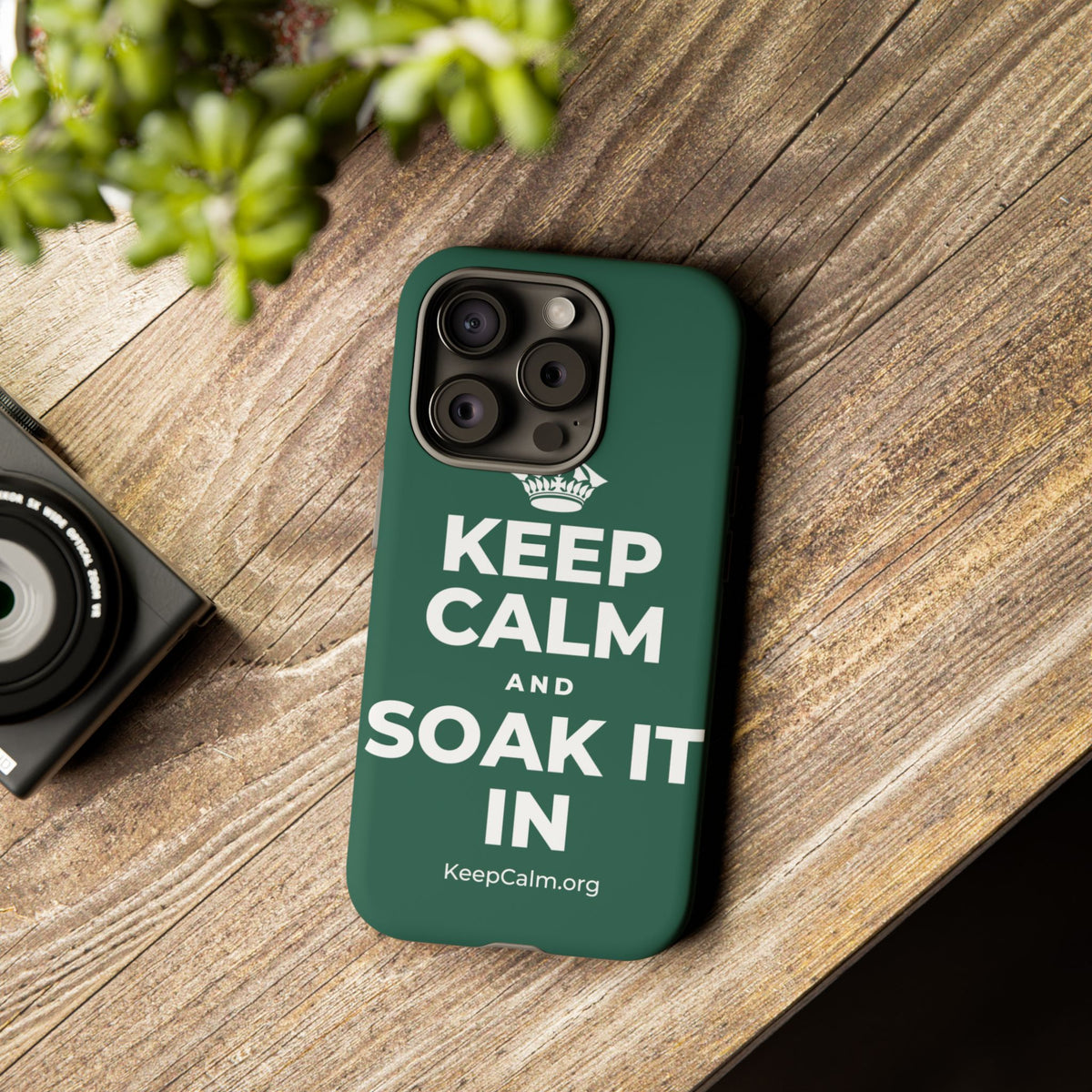 KEEP CALM AND SOAK IT IN Phone Case