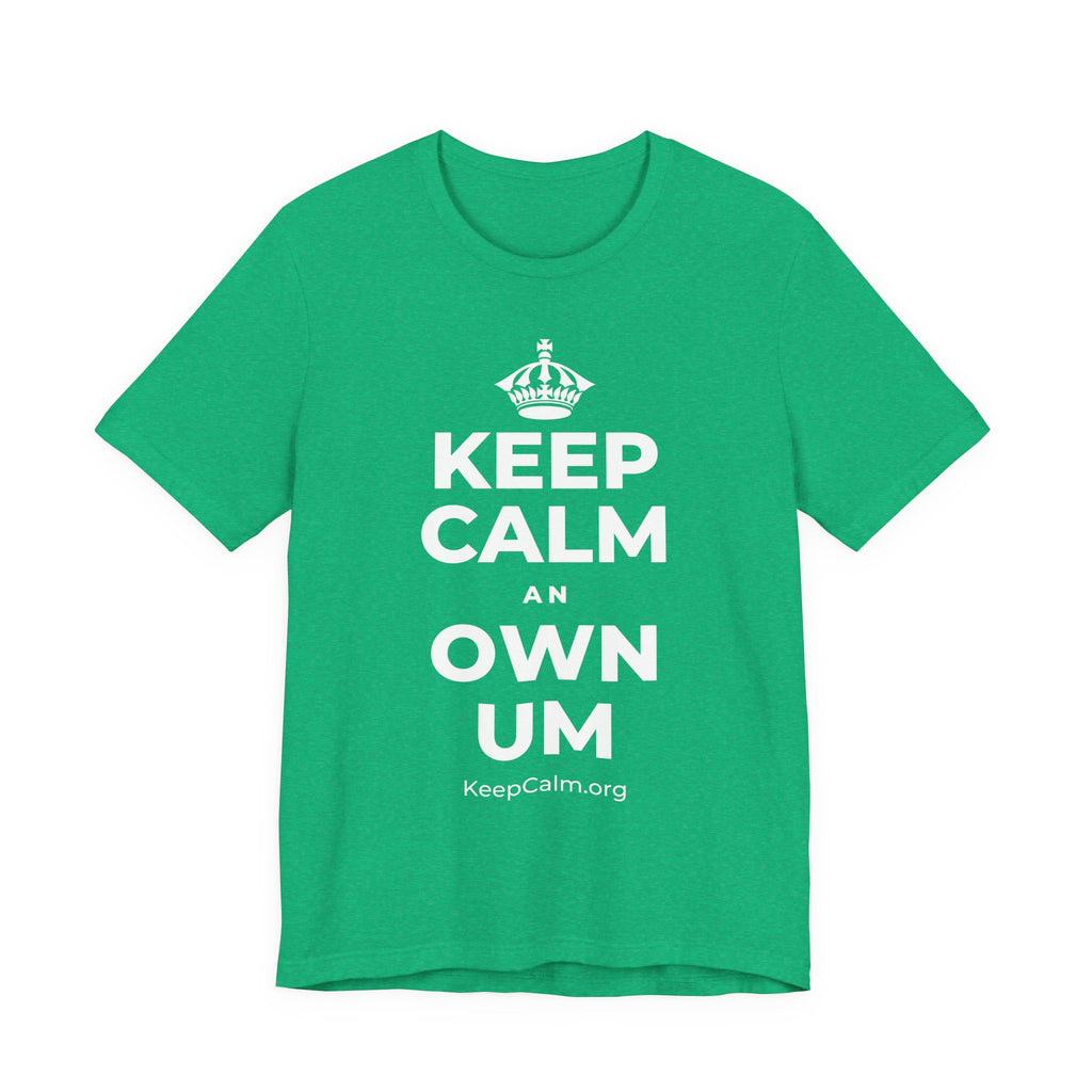 KEEP CALM AN OWN UM T-Shirt (Baby Blue–Silver)
