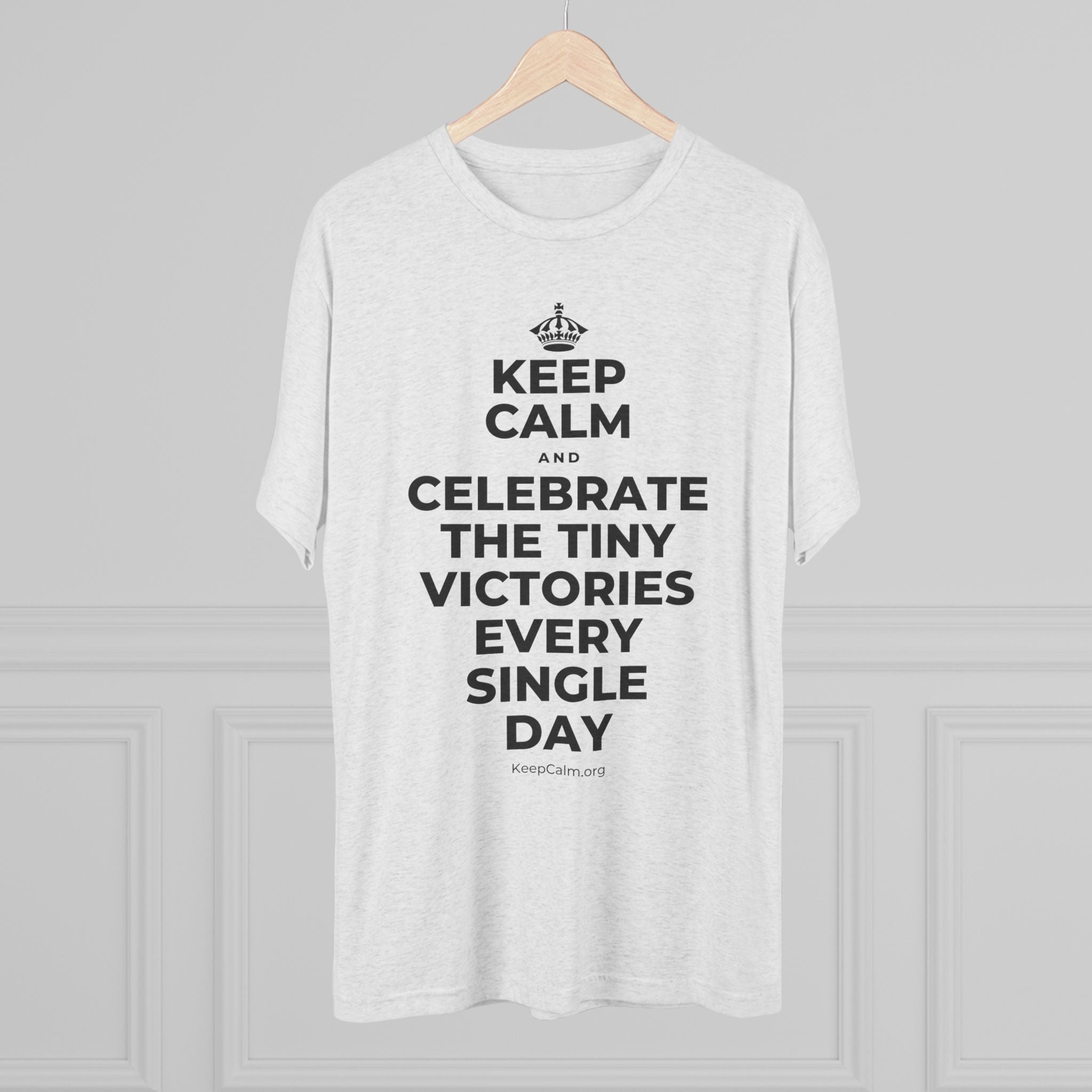 KEEP CALM AND CELEBRATE THE TINY VICTORIES EVERY SINGLE DAY Tri-Blend Tee