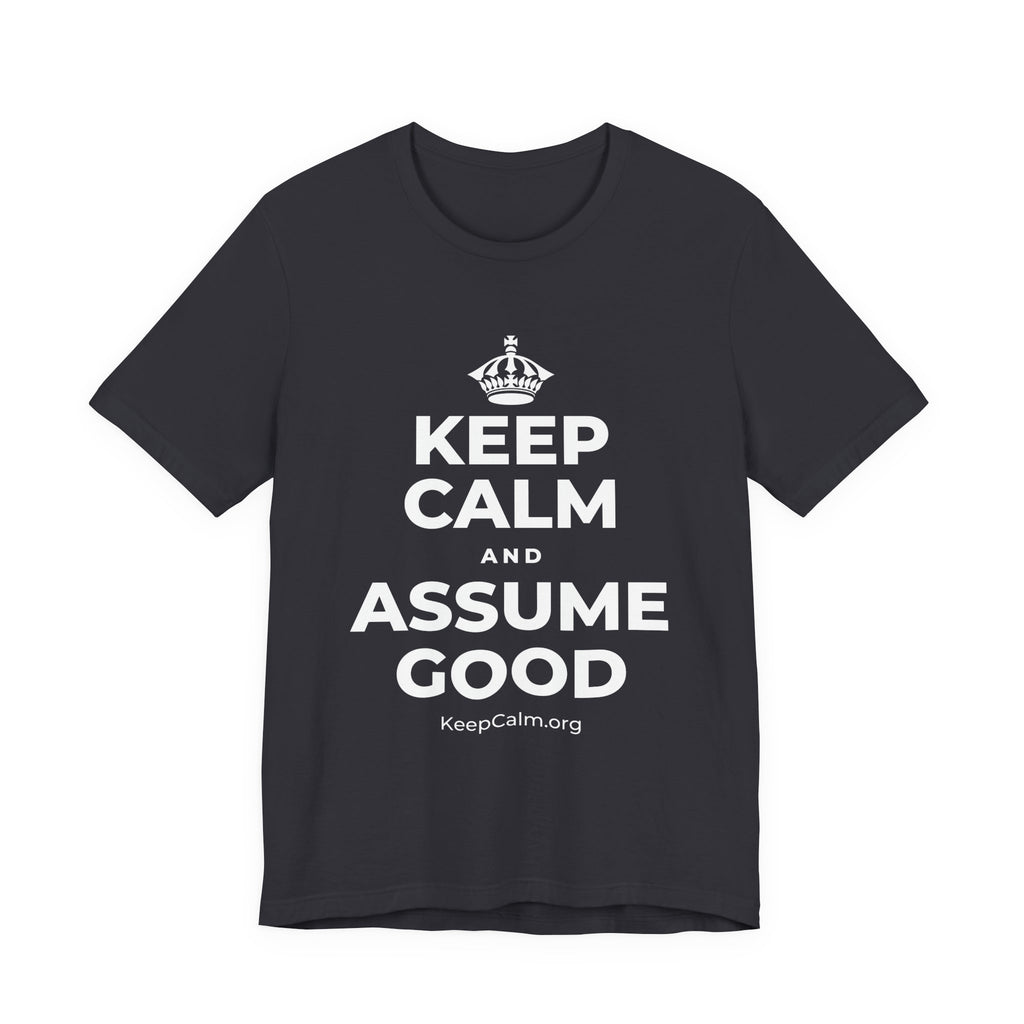 KEEP CALM AND ASSUME GOOD T-Shirt (Baby Blue–Silver)