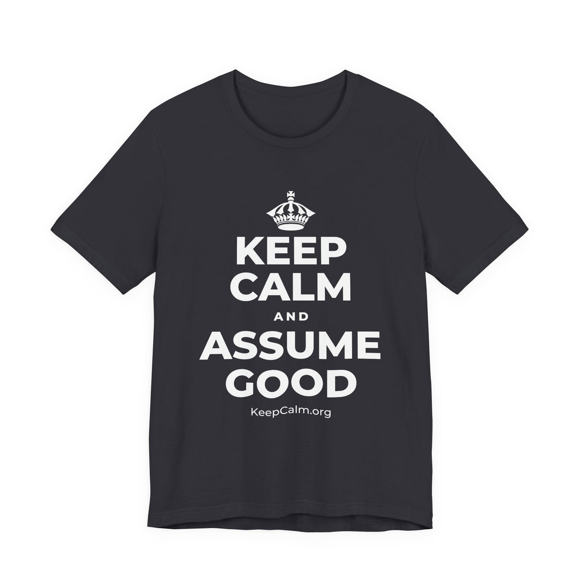 KEEP CALM AND ASSUME GOOD T-Shirt (Baby Blue–Silver)