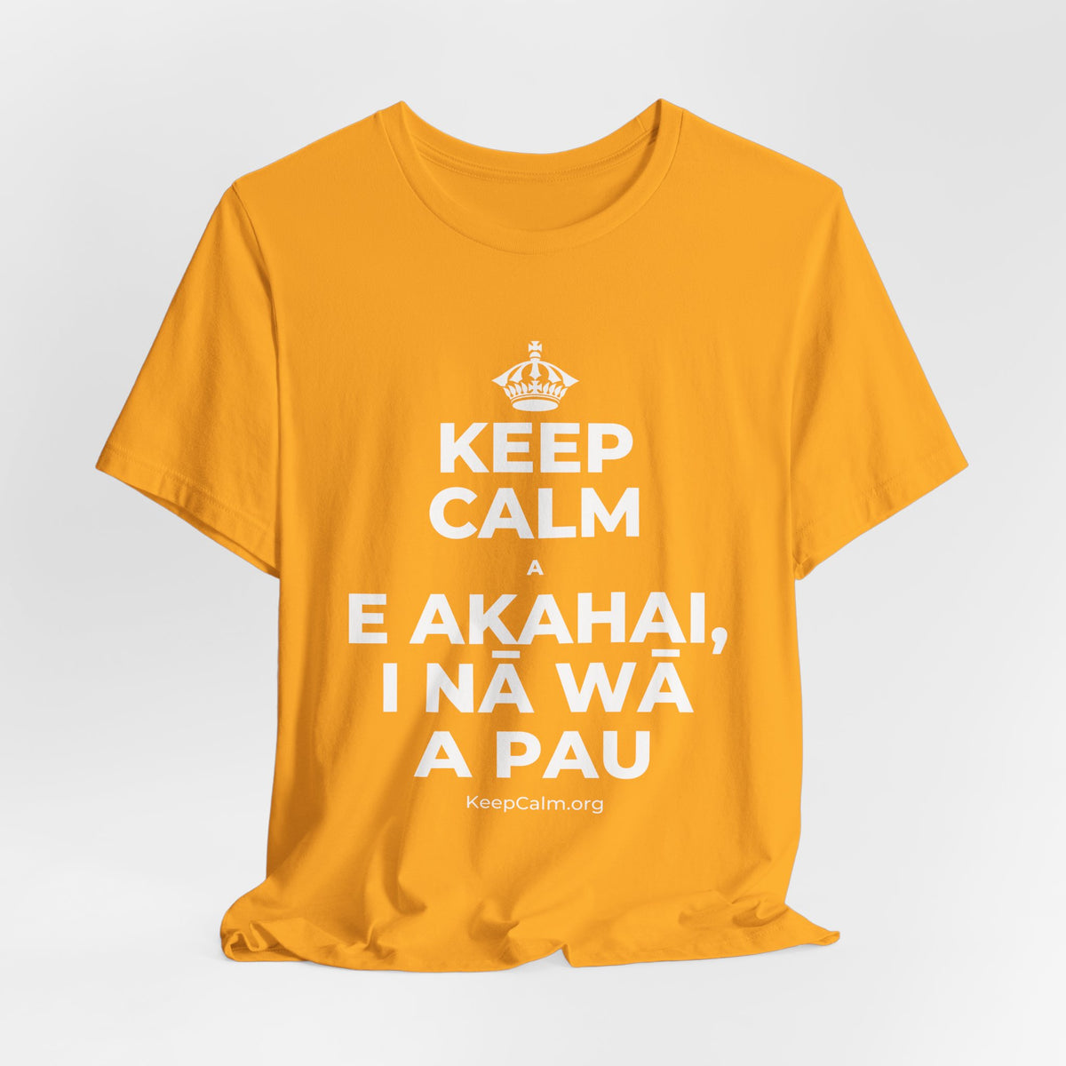 KEEP CALM A E AKAHAI, I NĀ WĀ A PAU T-Shirt (Baby Blue–Silver)