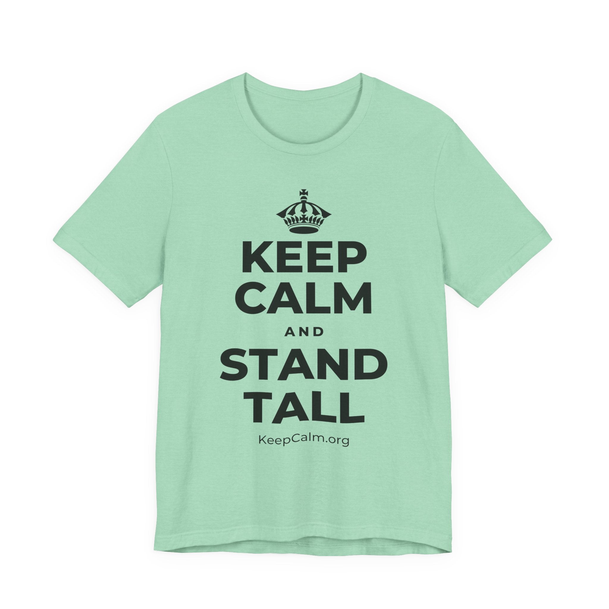KEEP CALM AND STAND TALL T-Shirt (Baby Blue–Silver)