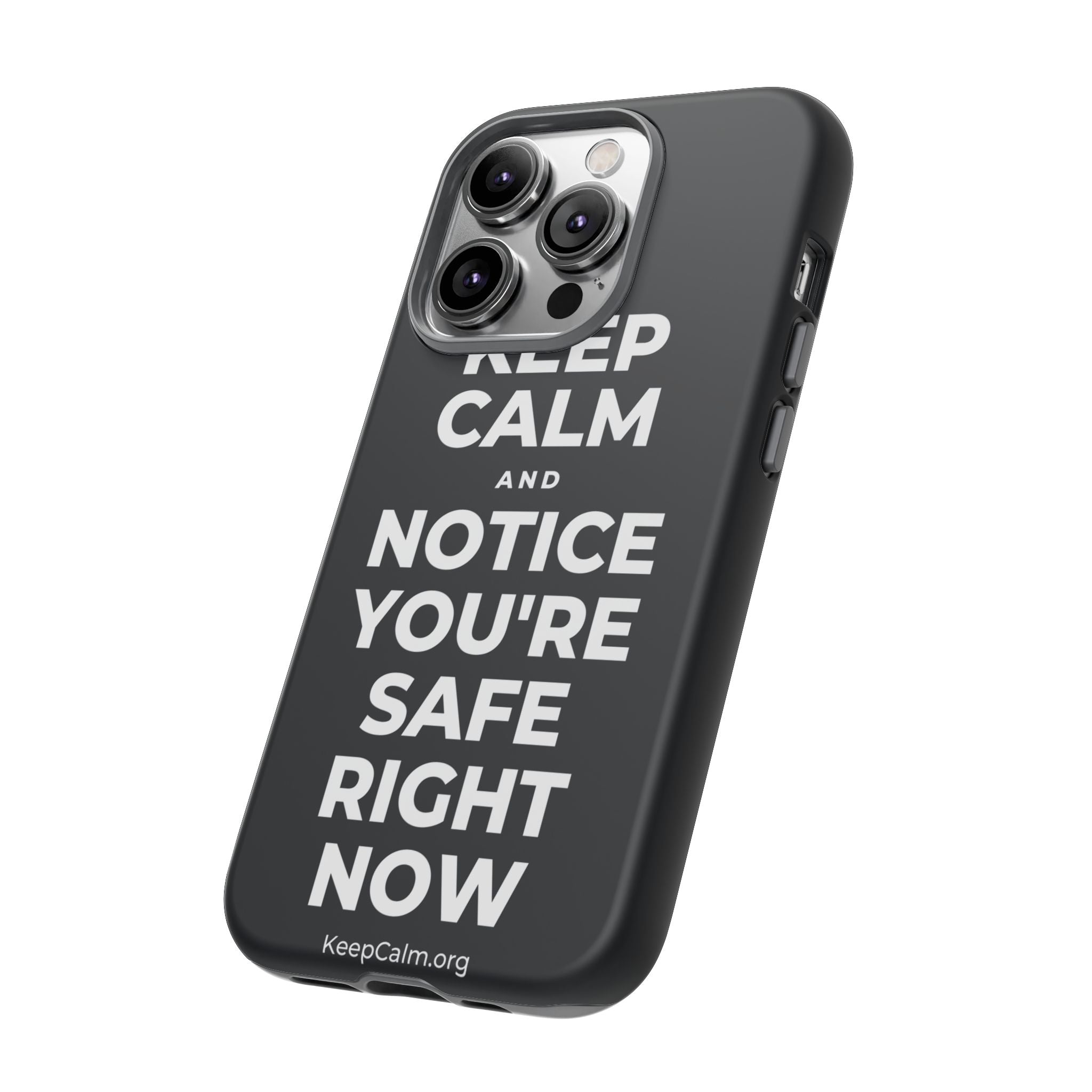 KEEP CALM AND NOTICE YOU'RE SAFE RIGHT NOW Phone Case (Dark)