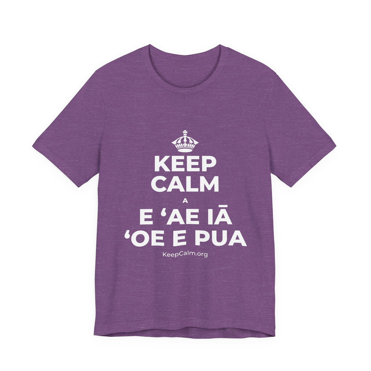 KEEP CALM A E ʻAE IĀ ʻOE E PUA T-Shirt (Baby Blue–Silver)