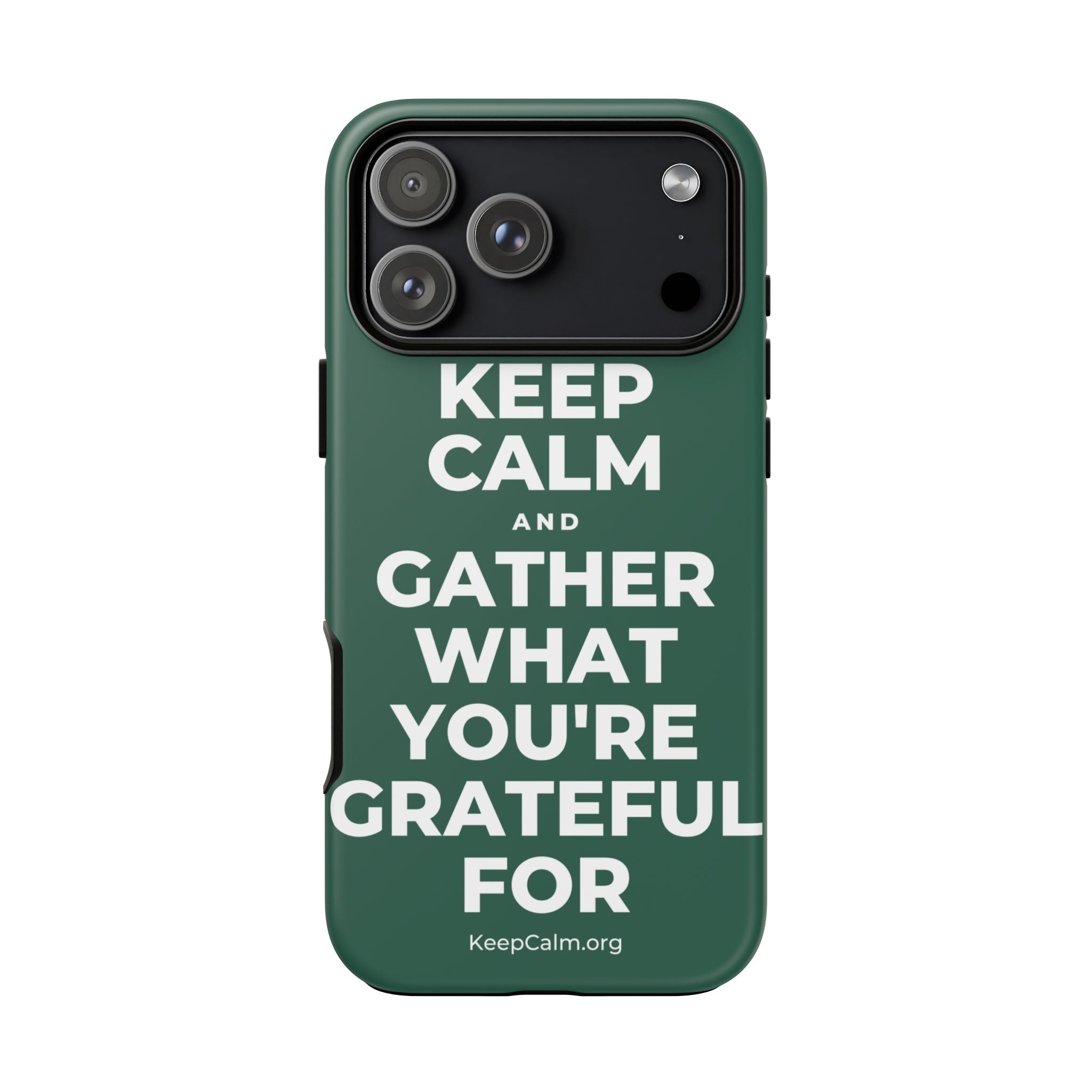 KEEP CALM AND GATHER WHAT YOU'RE GRATEFUL FOR Phone Case