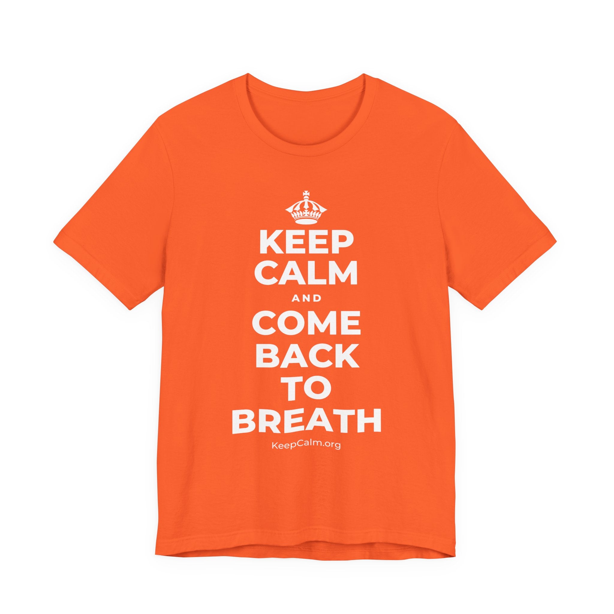 KEEP CALM AND COME BACK TO BREATH T-Shirt (Baby Blue–Silver)