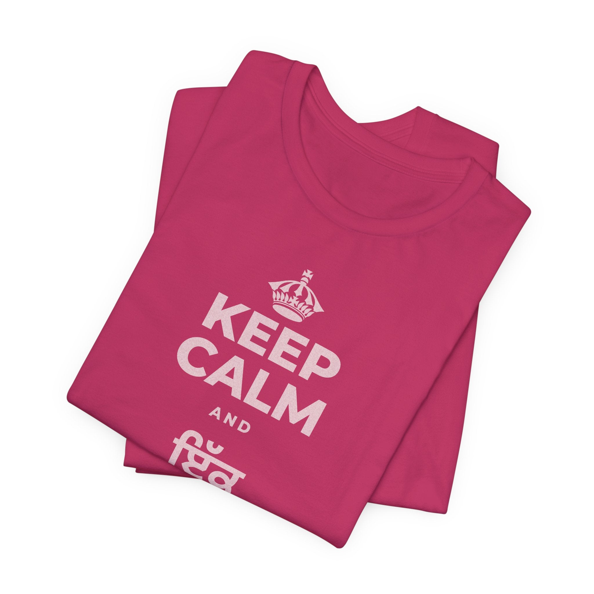 KEEP CALM AND ਇੱਕ ਬੀਜ ਬੀਜੋ T-Shirt (Baby Blue–Silver)