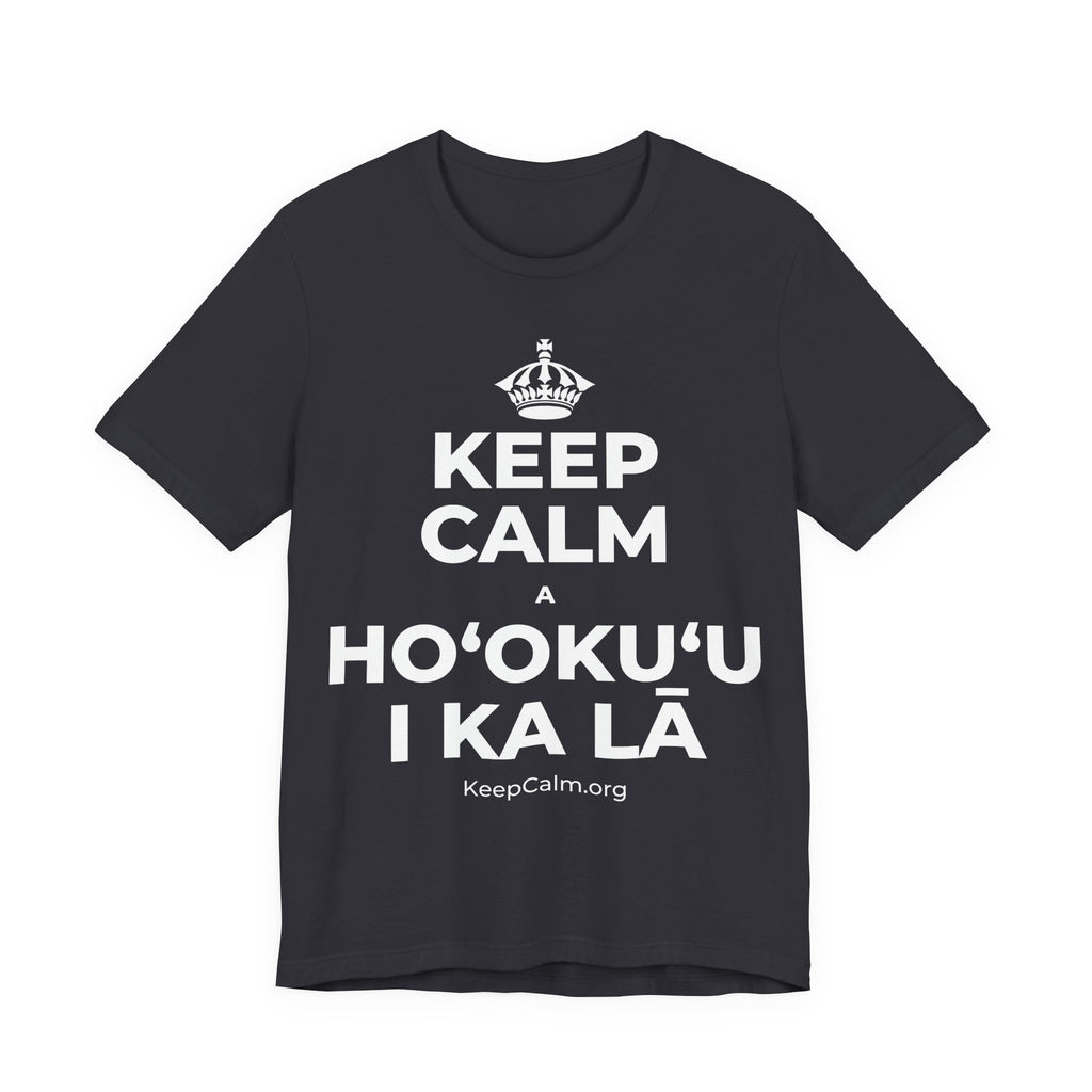 KEEP CALM A HOʻOKUʻU I KA LĀ T-Shirt (Baby Blue–Silver)