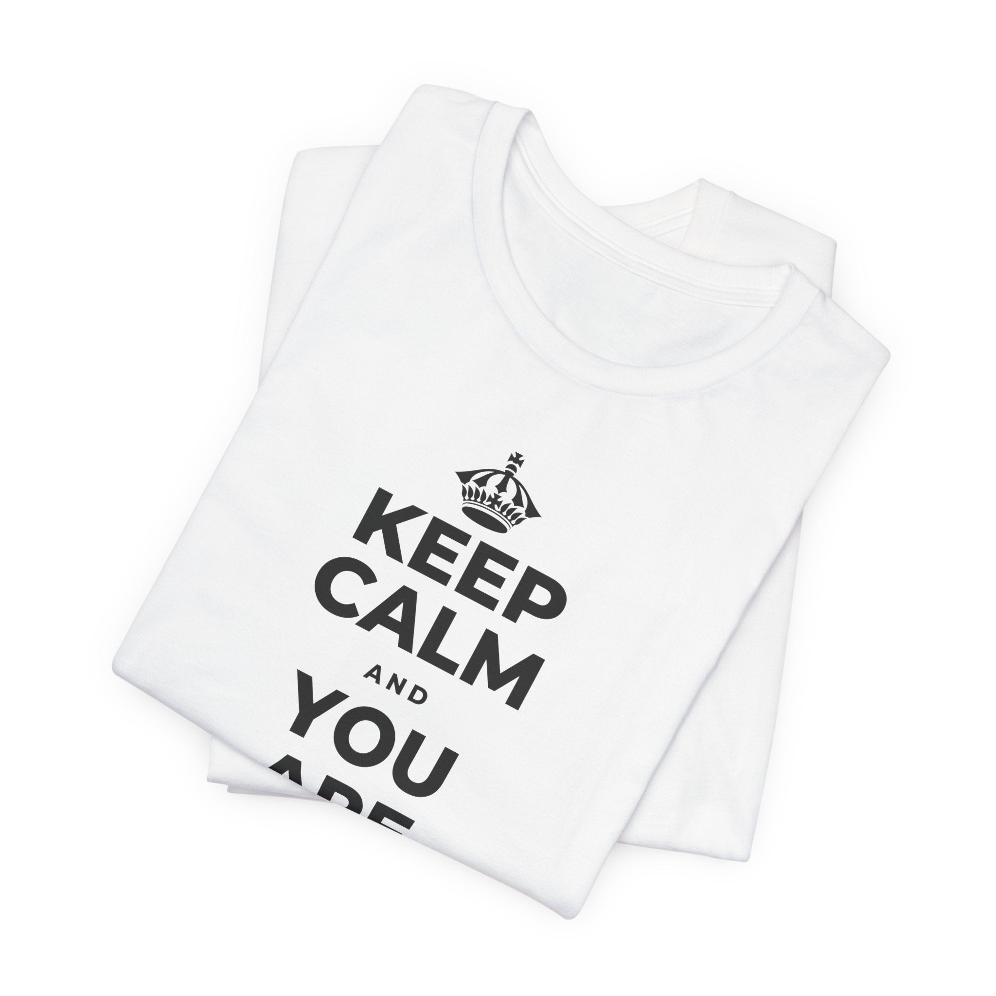 KEEP CALM AND YOU ARE DOING GREAT TODAY T-Shirt (White–Asphalt)