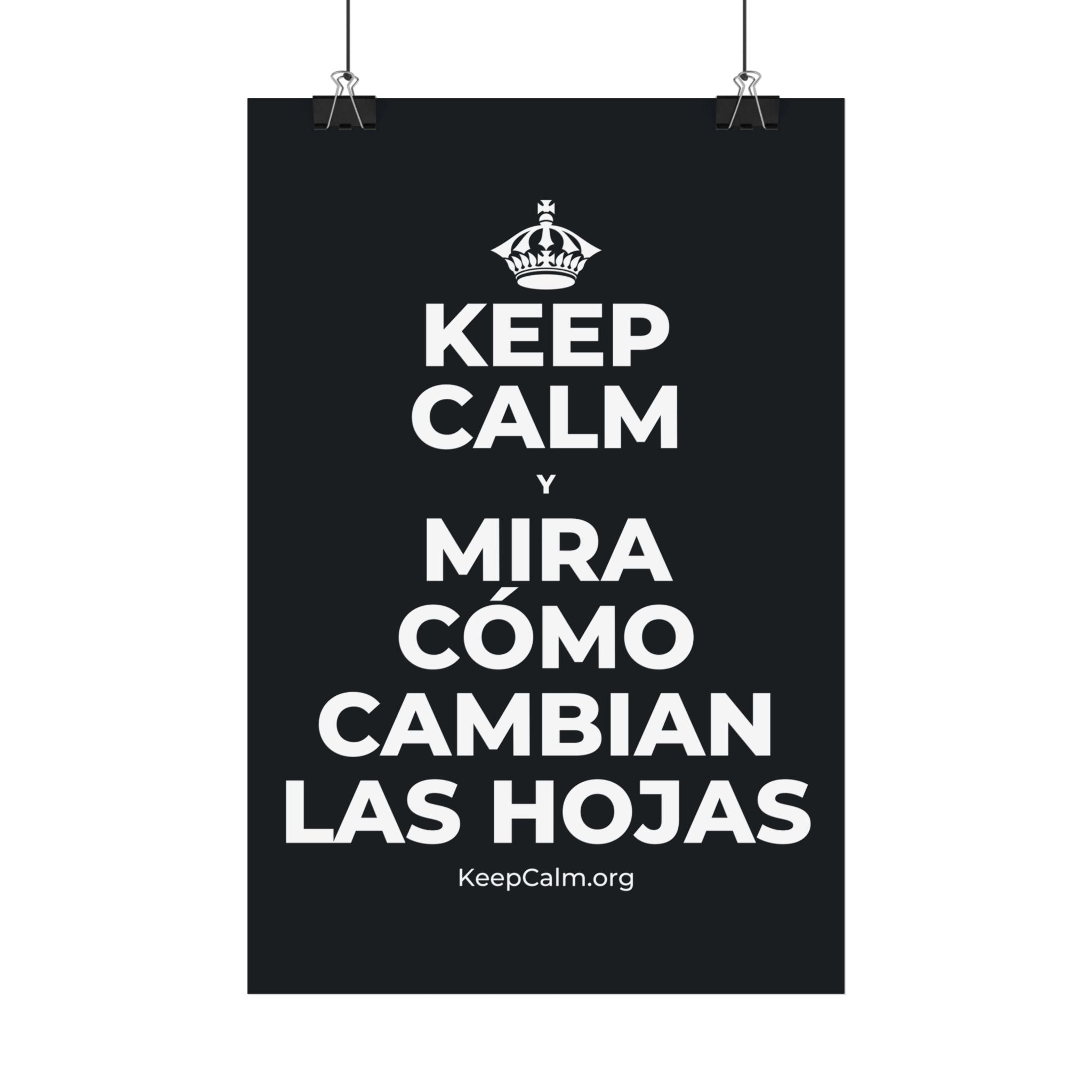 KEEP CALM Y MIRA CÓMO CAMBIAN LAS HOJAS Satin Poster (Dark)