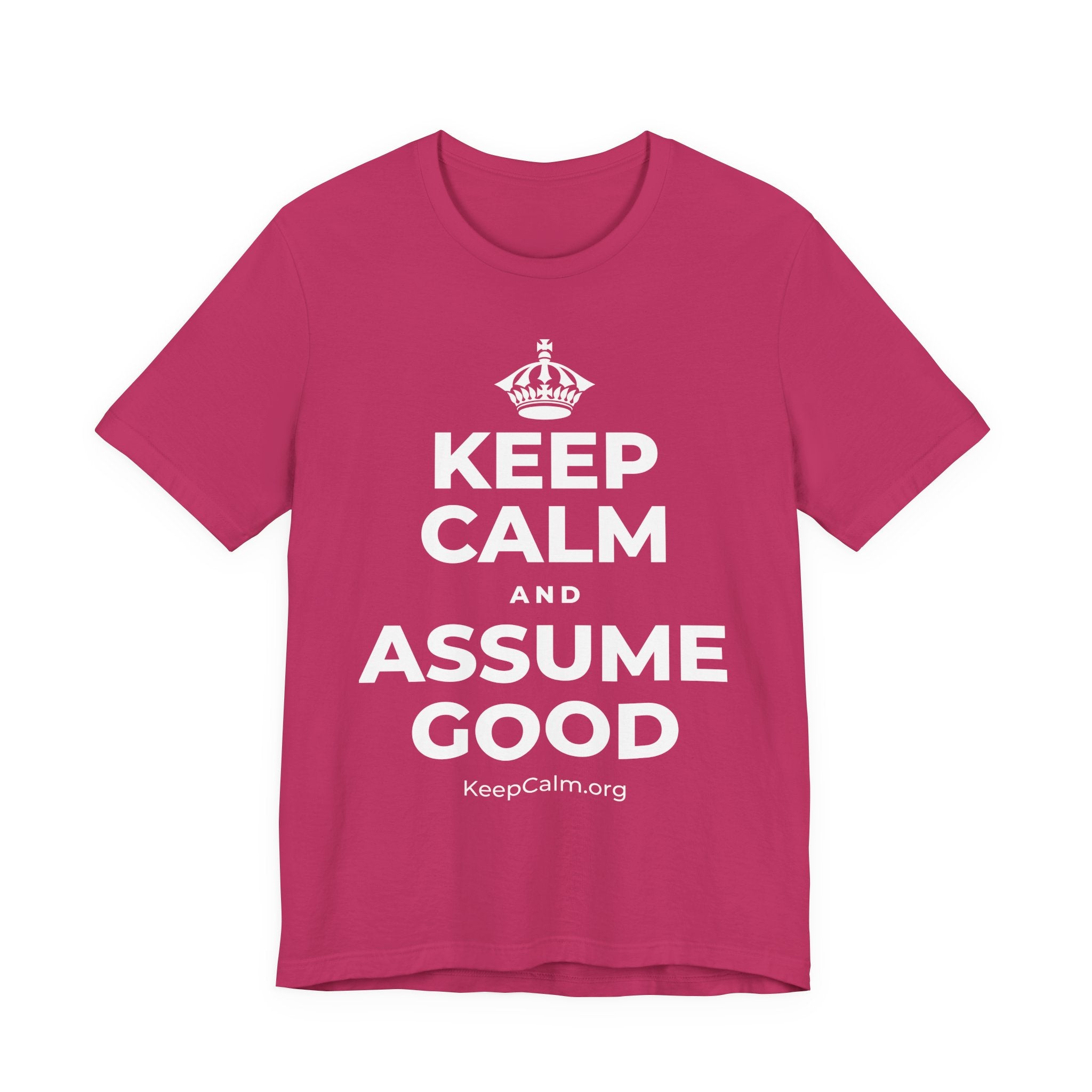 KEEP CALM AND ASSUME GOOD T-Shirt (Baby Blue–Silver)