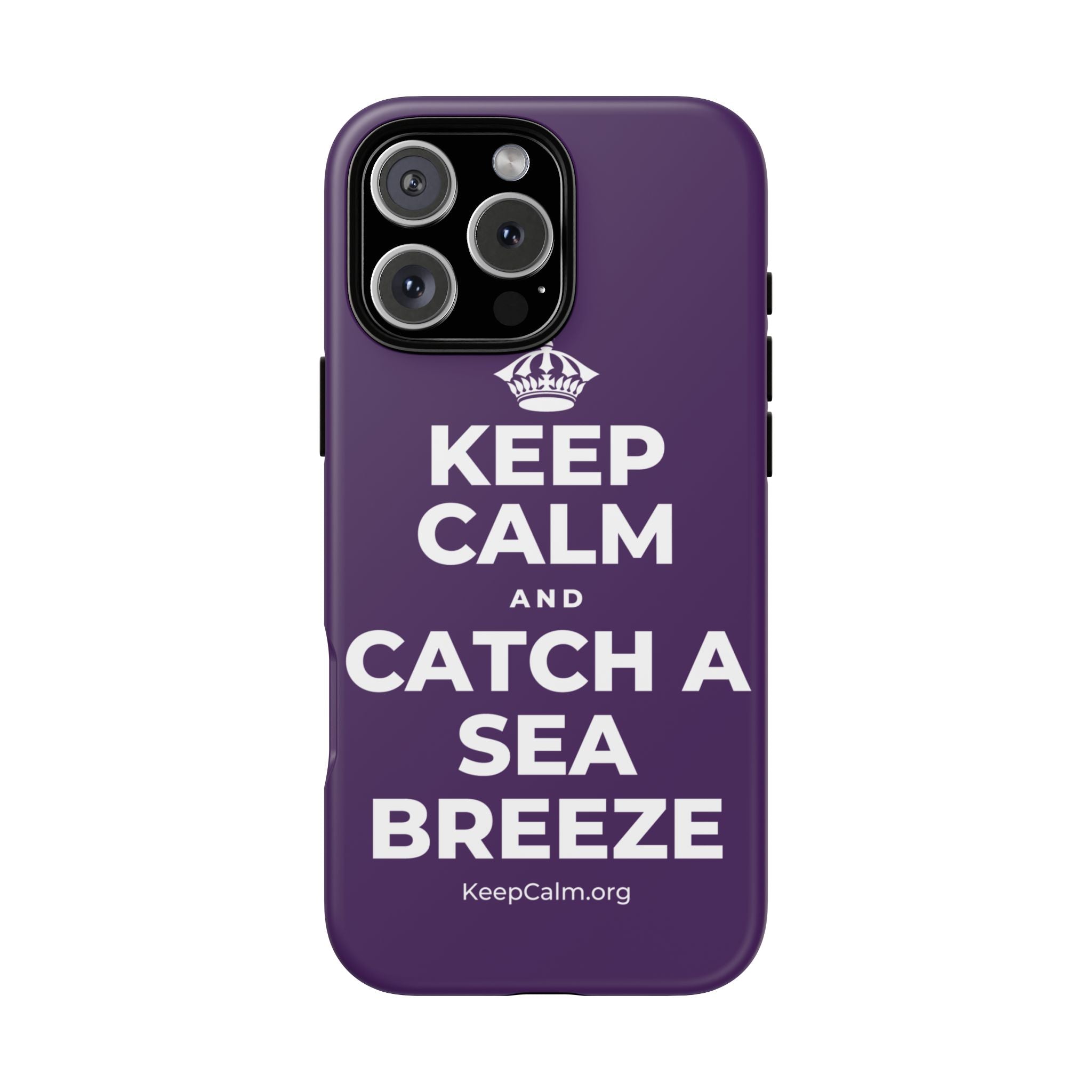 KEEP CALM AND CATCH A SEA BREEZE Phone Case