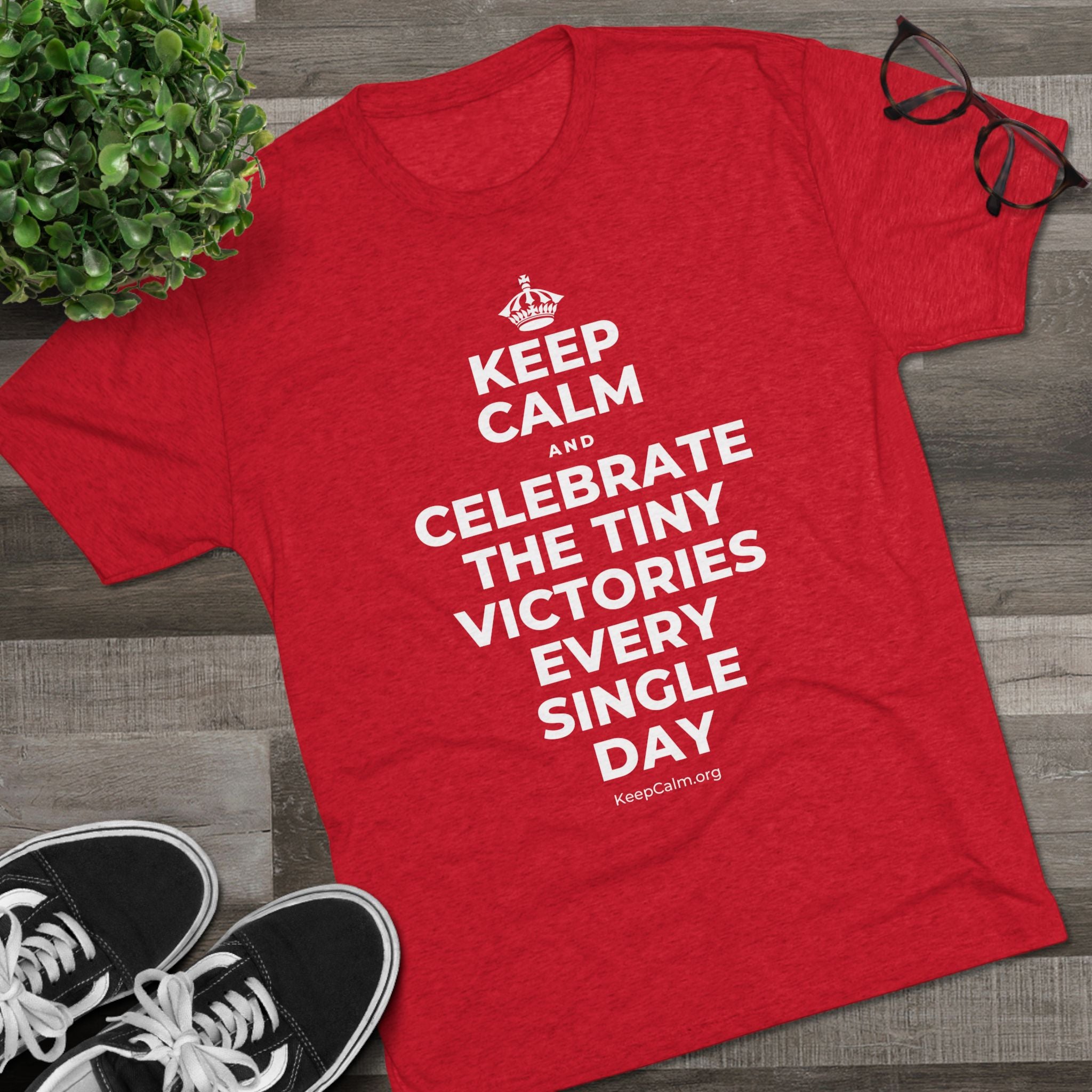 KEEP CALM AND CELEBRATE THE TINY VICTORIES EVERY SINGLE DAY Tri-Blend Tee