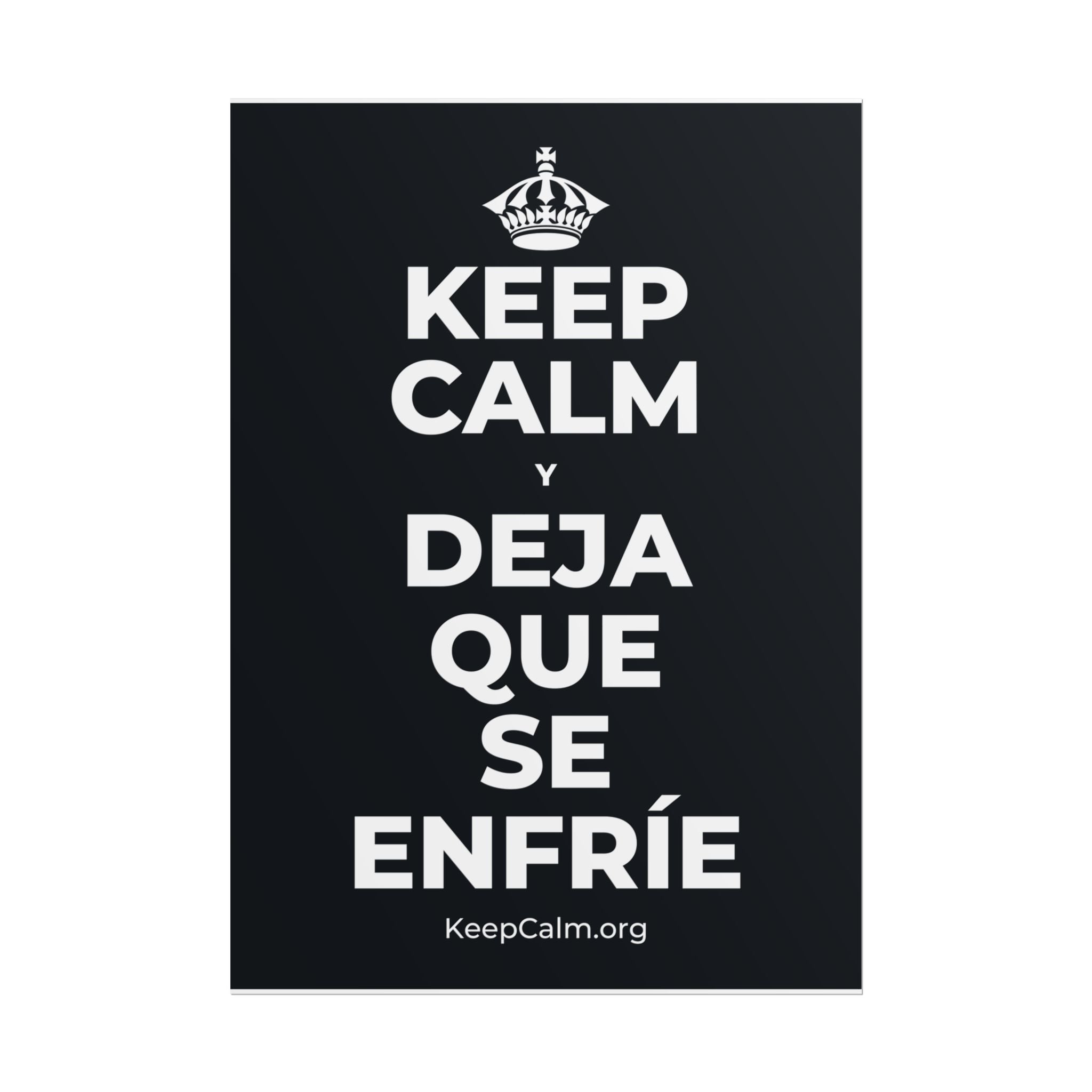 KEEP CALM Y DEJA QUE SE ENFRÍE Poster (Dark)