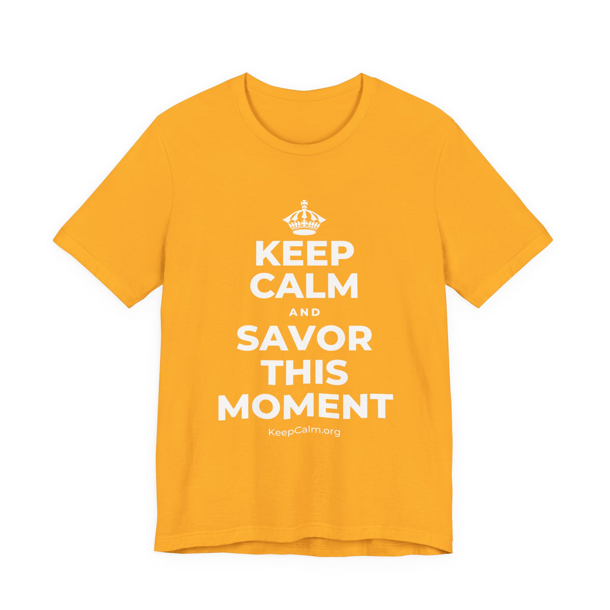 KEEP CALM AND SAVOR THIS MOMENT T-Shirt (Baby Blue–Silver)