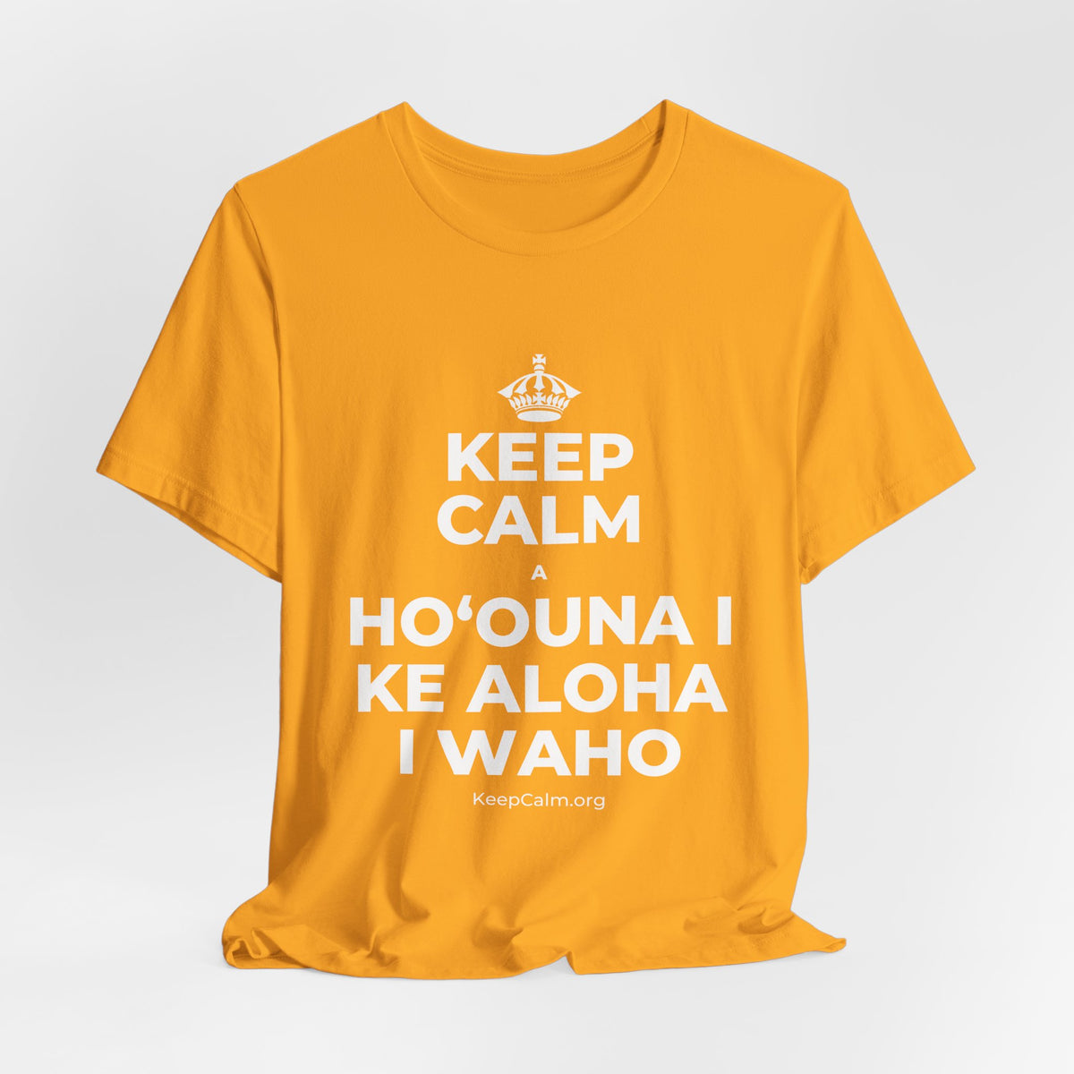 KEEP CALM A HOʻOUNA I KE ALOHA I WAHO T-Shirt (Baby Blue–Silver)