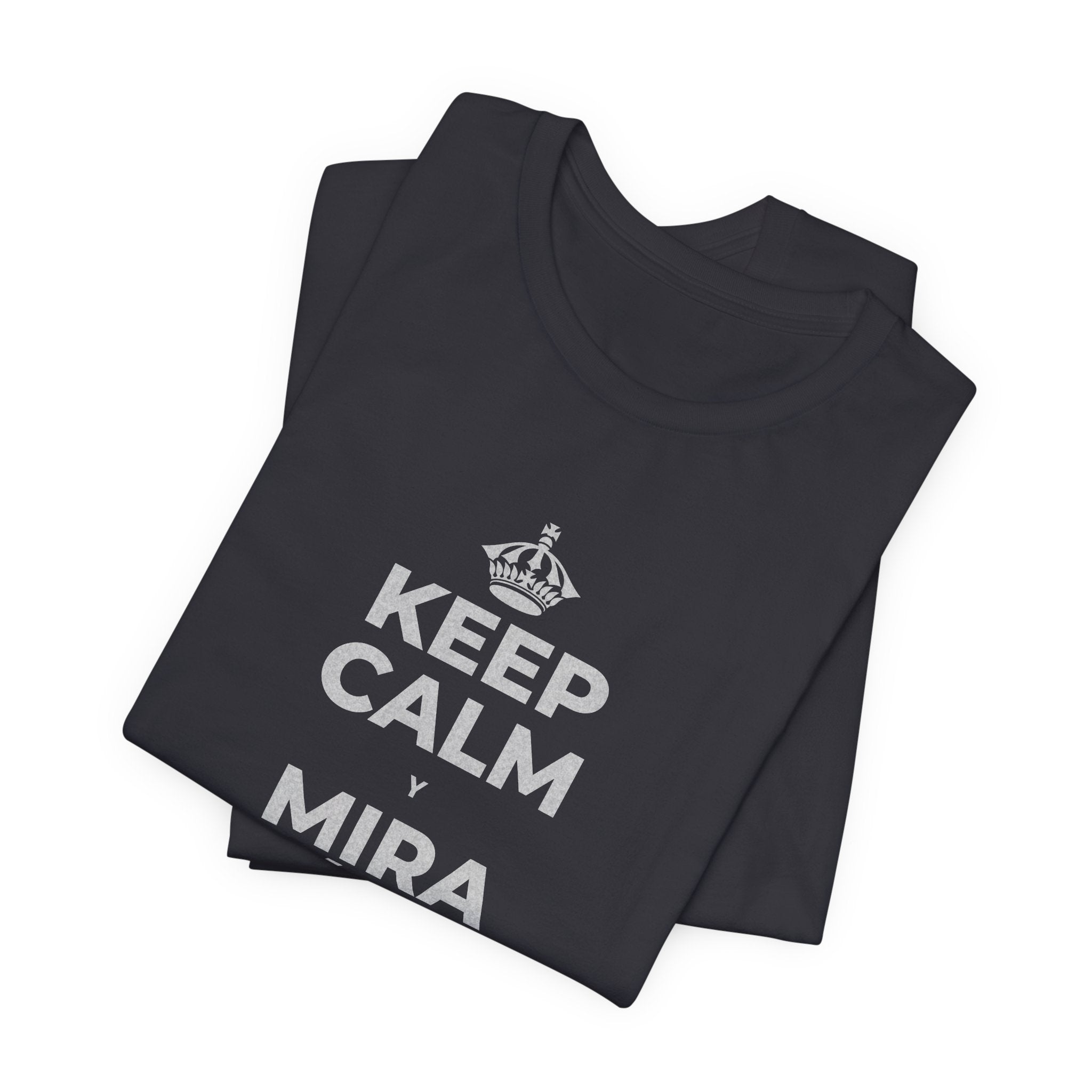 KEEP CALM Y MIRA CÓMO CAMBIAN LAS HOJAS T-Shirt (Baby Blue–Silver)