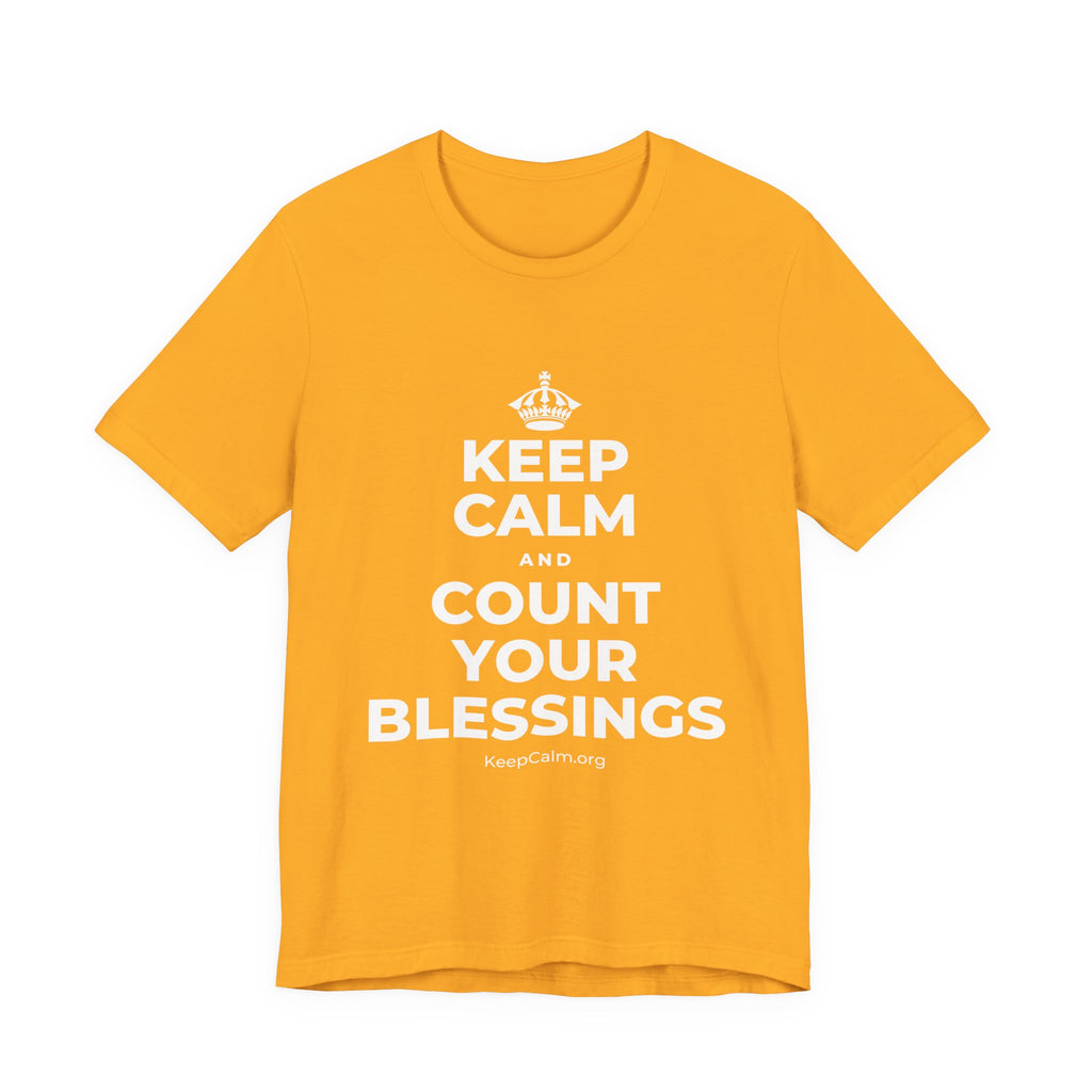 KEEP CALM AND COUNT YOUR BLESSINGS T-Shirt (Baby Blue–Silver)