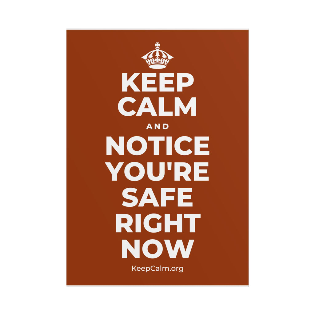 KEEP CALM AND NOTICE YOU'RE SAFE RIGHT NOW Poster